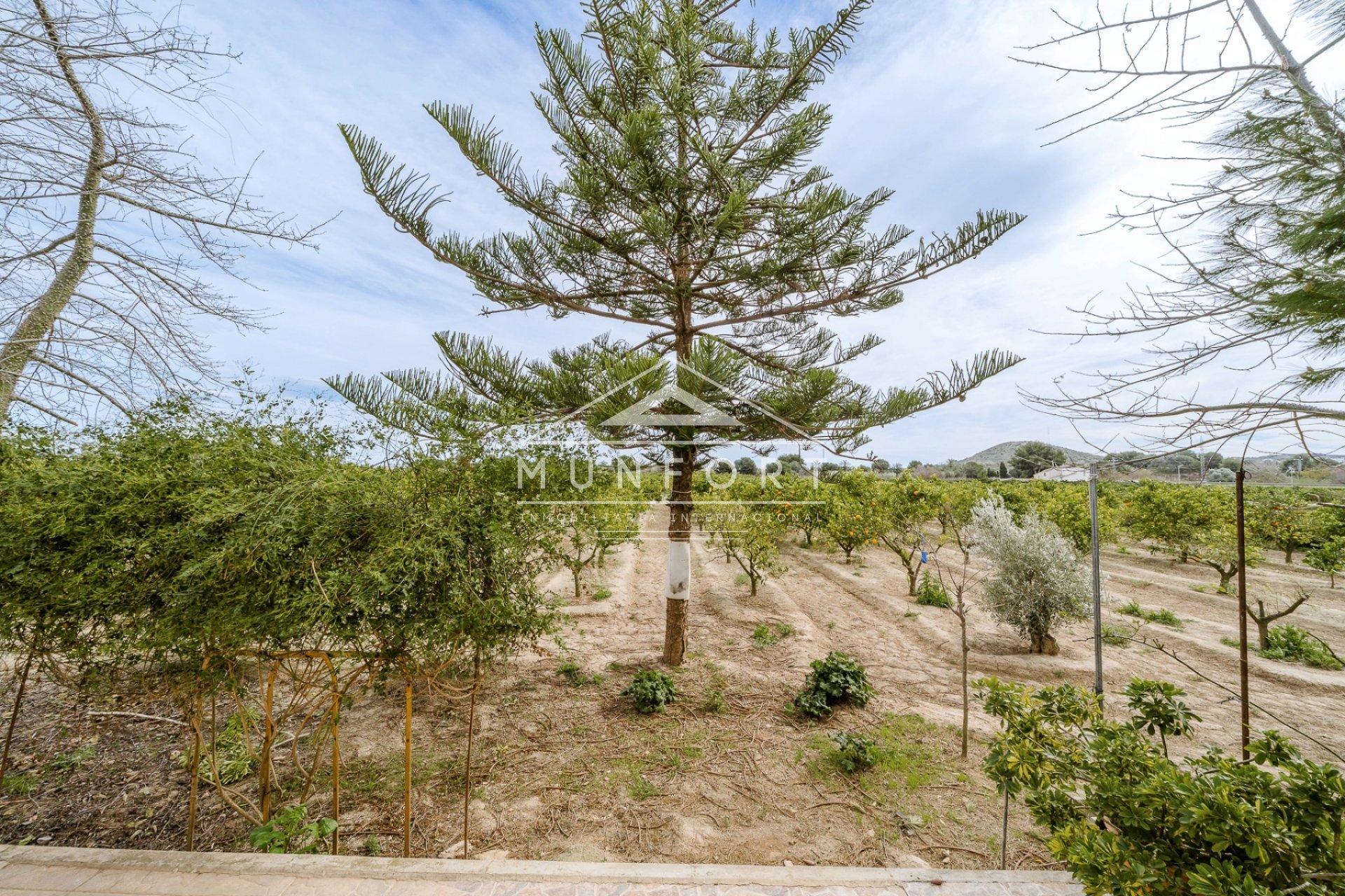 Resale - Villas -
Rojales