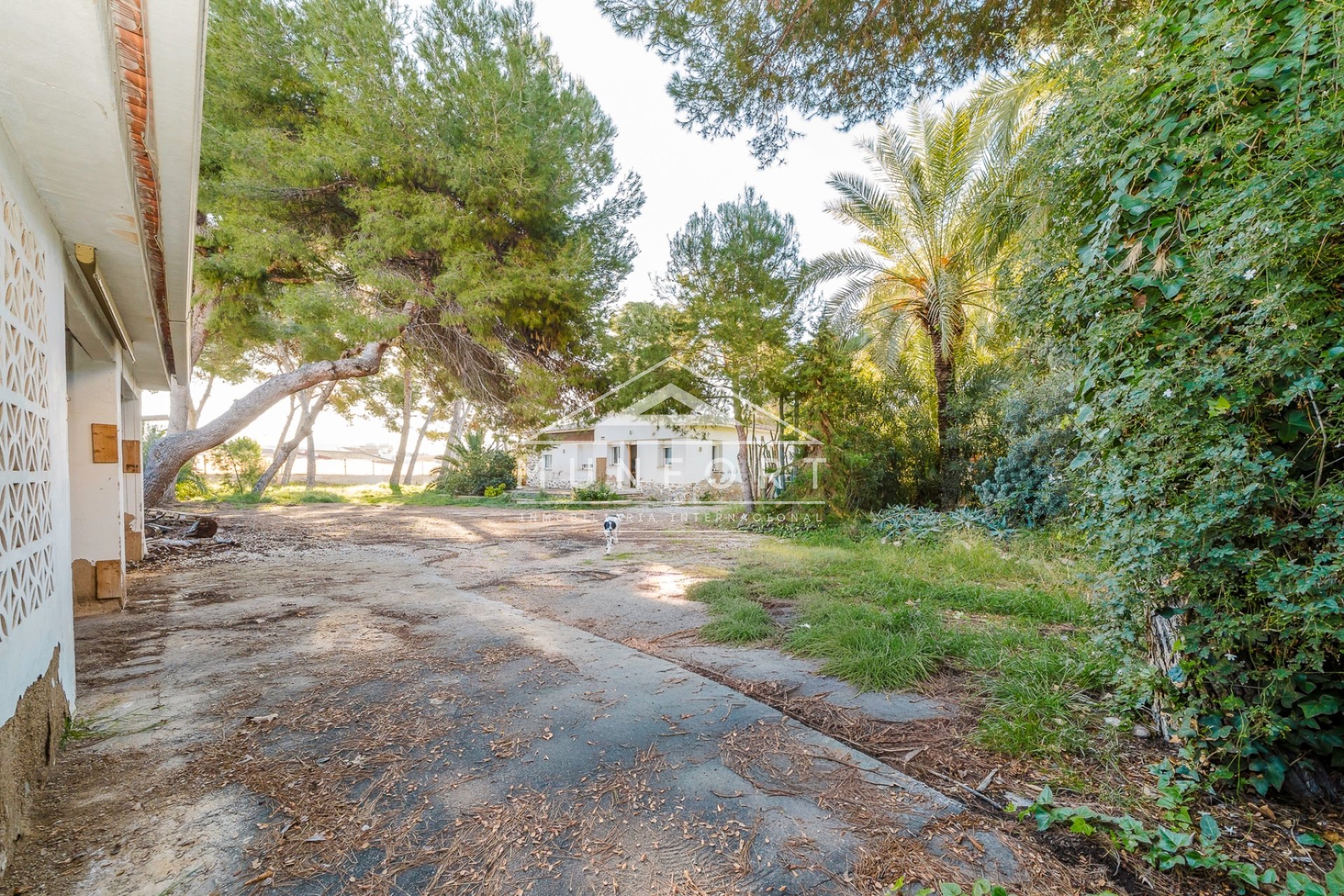 Resale - Villas -
San Pedro del Pinatar