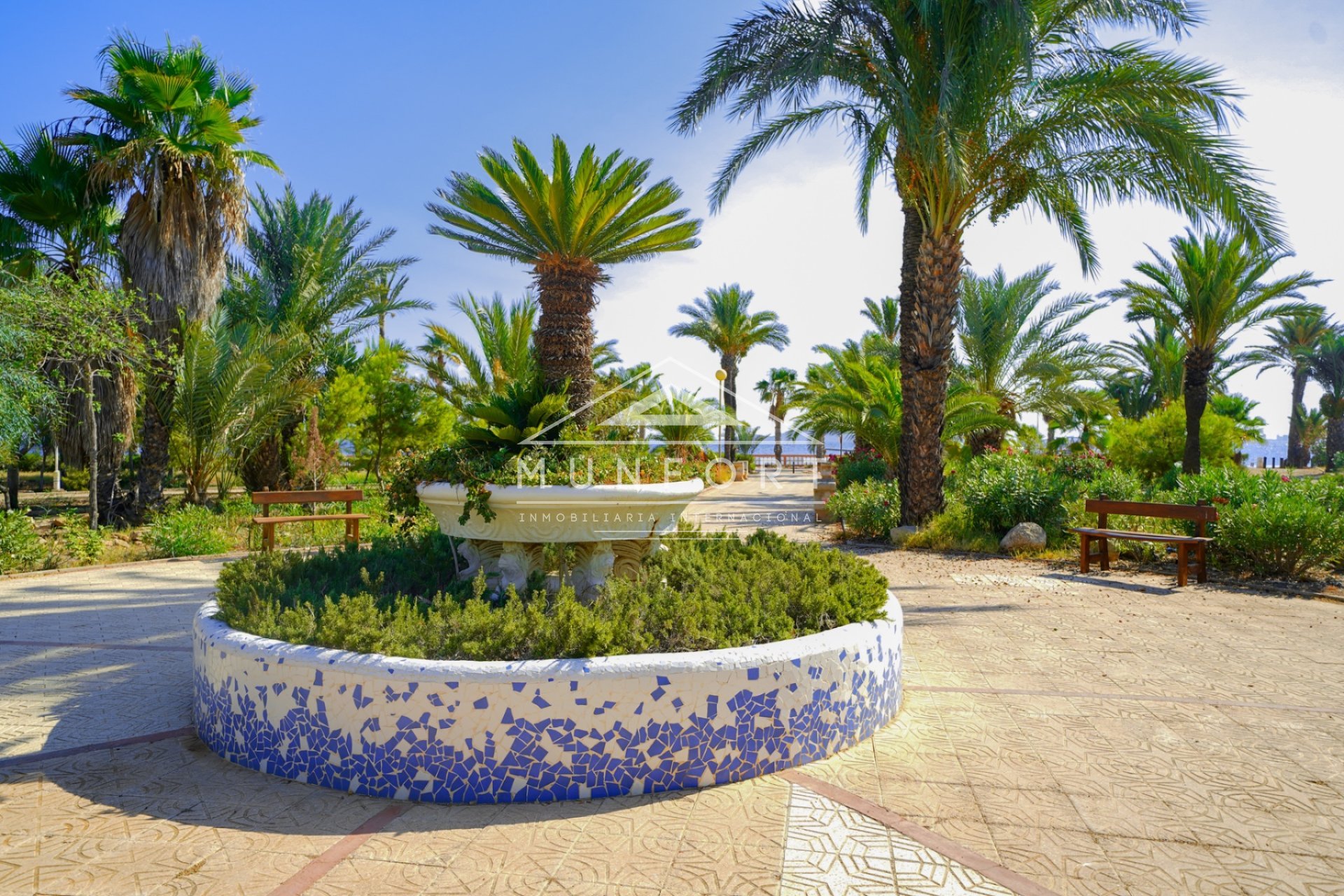 Revente - Appartements -
Los Urrutias