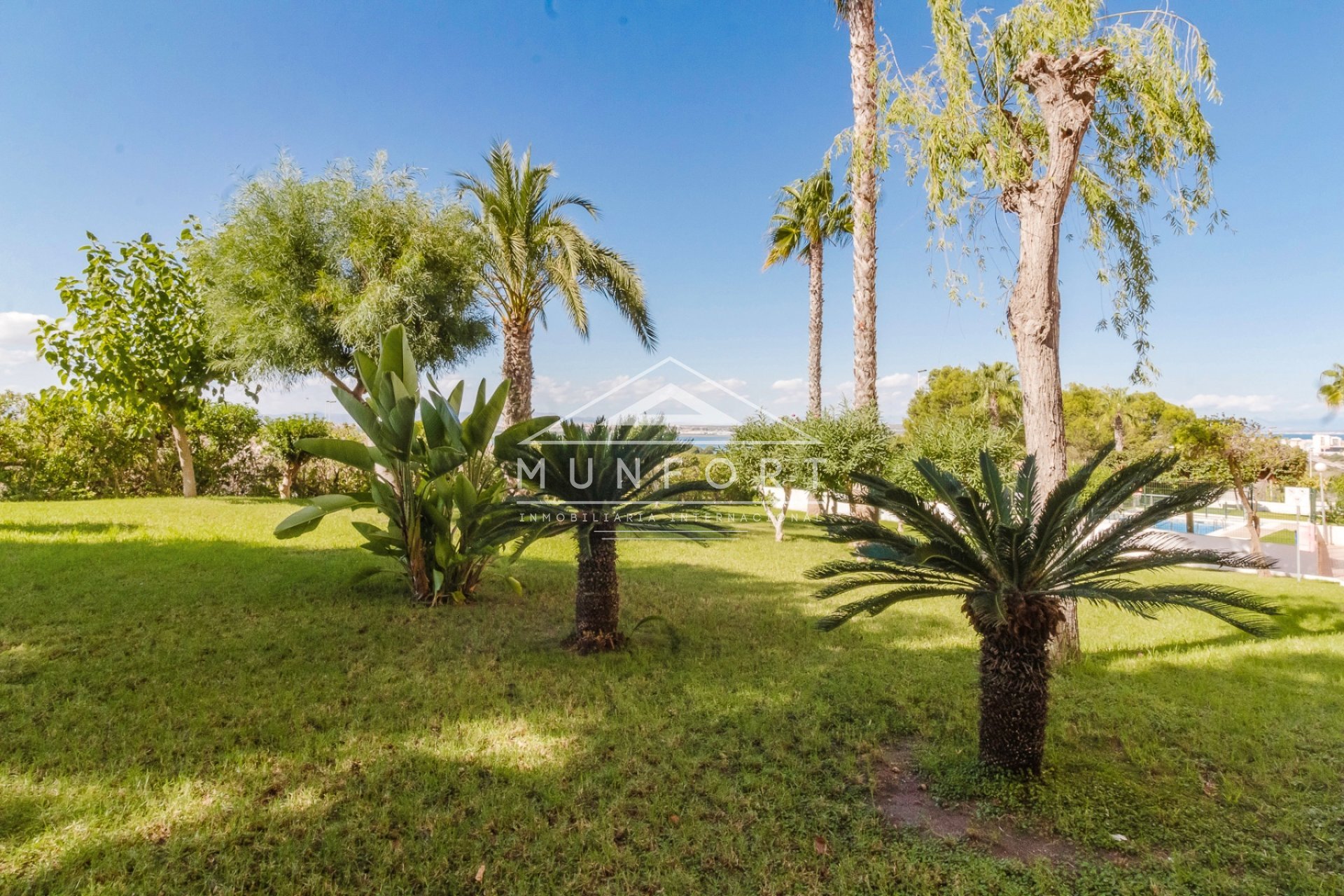 Revente - Appartements -
Torrevieja - La Mata - Torrevieja