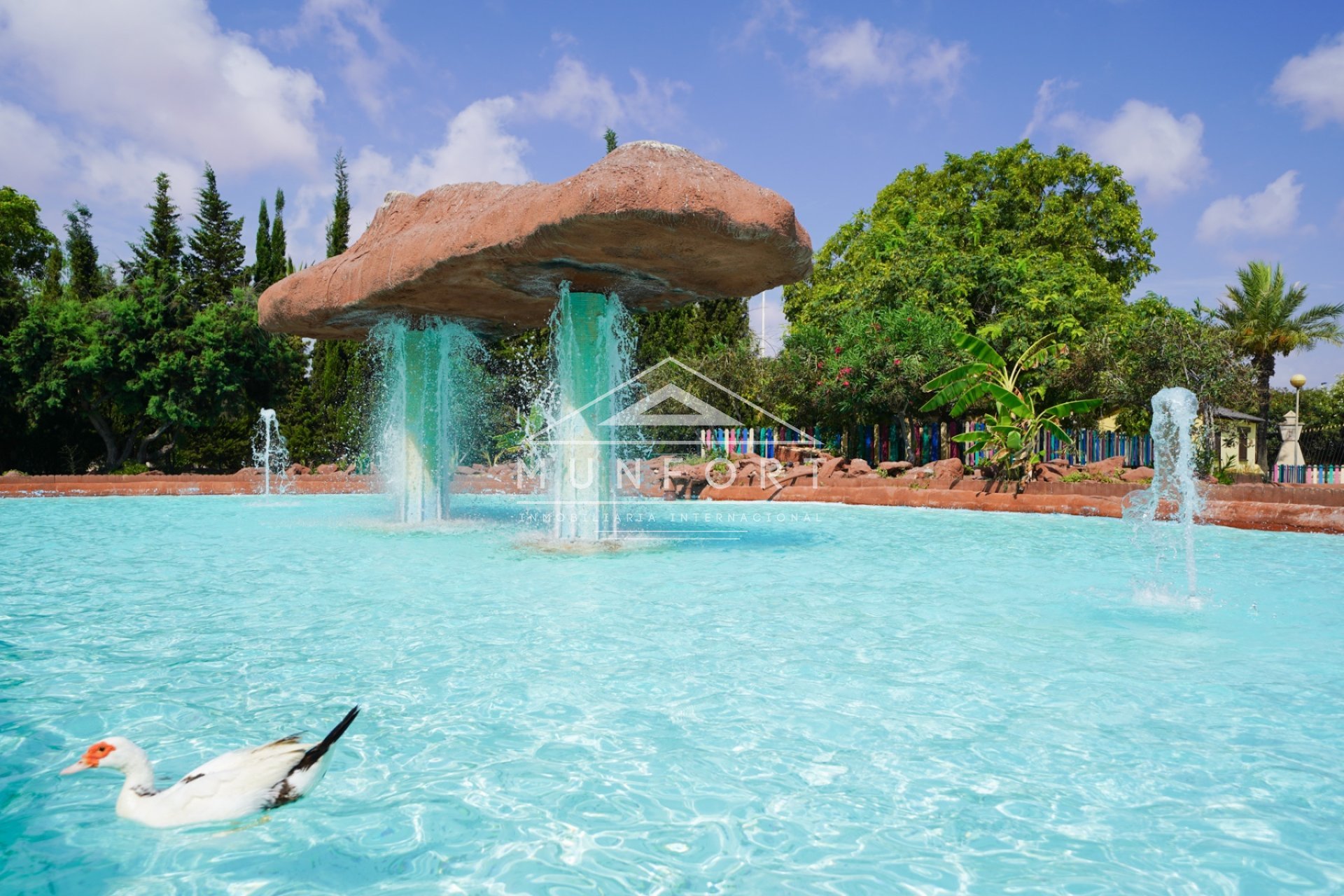 Revente - Appartements -
Torrevieja