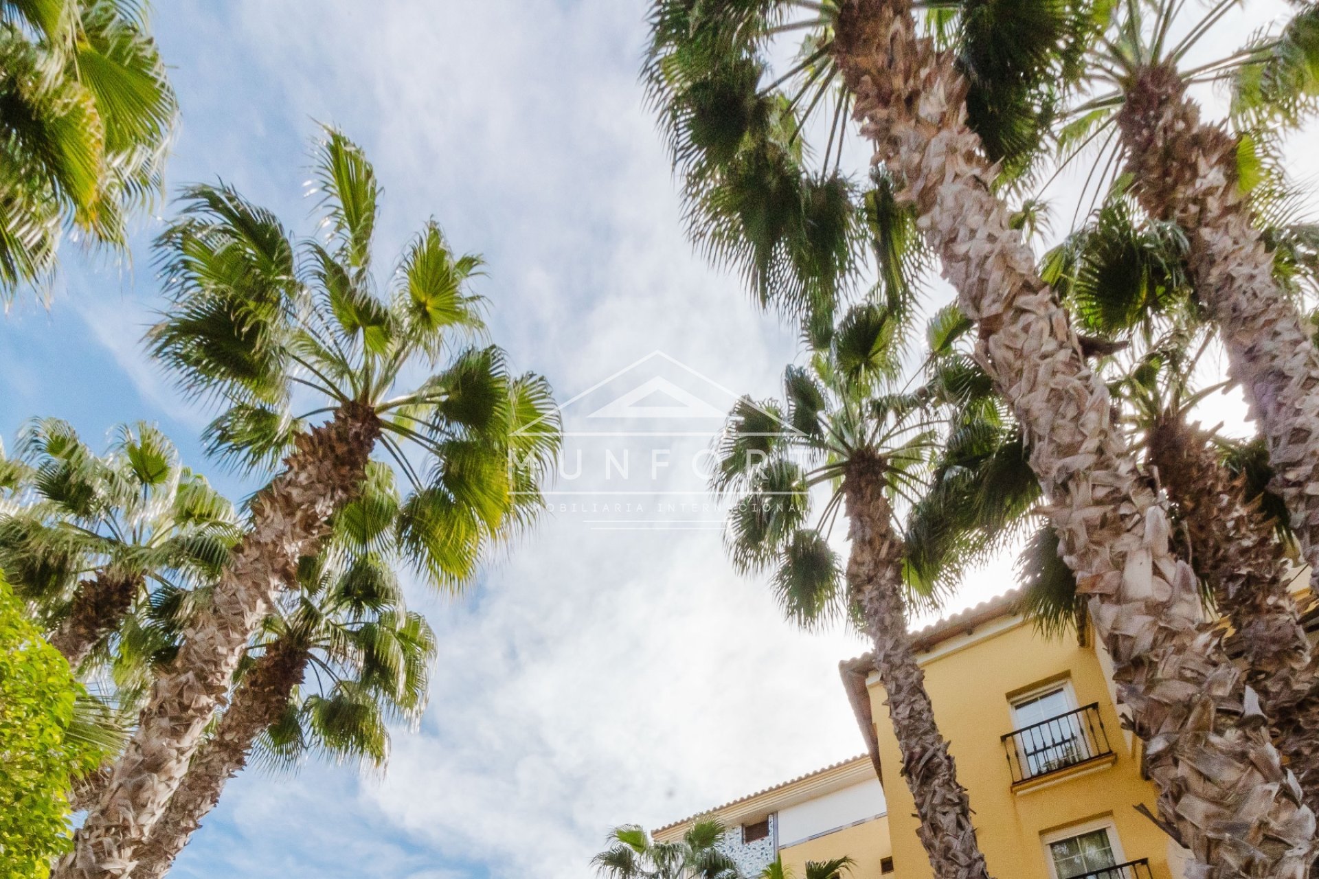 Revente - Appartements -
Torrevieja