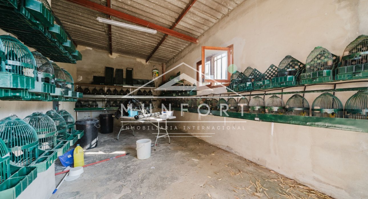 Revente - Locaux commerciaux -
ALICANTE - Alicante