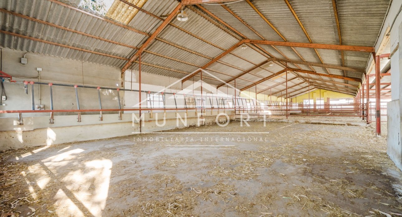 Revente - Maisons de campagne -
ALICANTE - Alicante