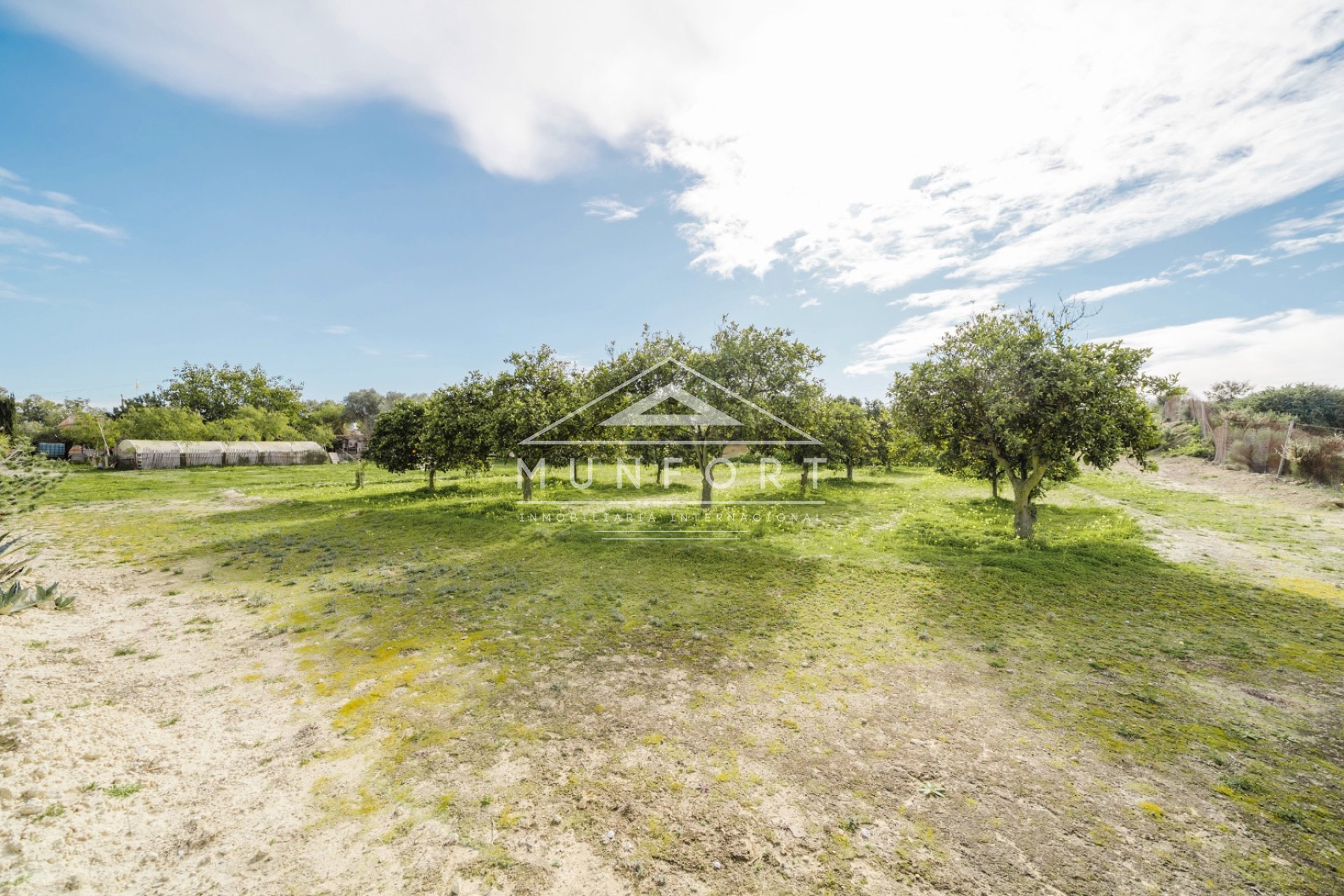 Revente - Maisons de campagne -
Guardamar del Segura