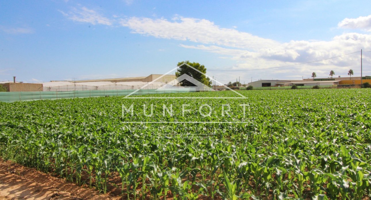 Revente - Maisons de campagne -
San Pedro del Pinatar