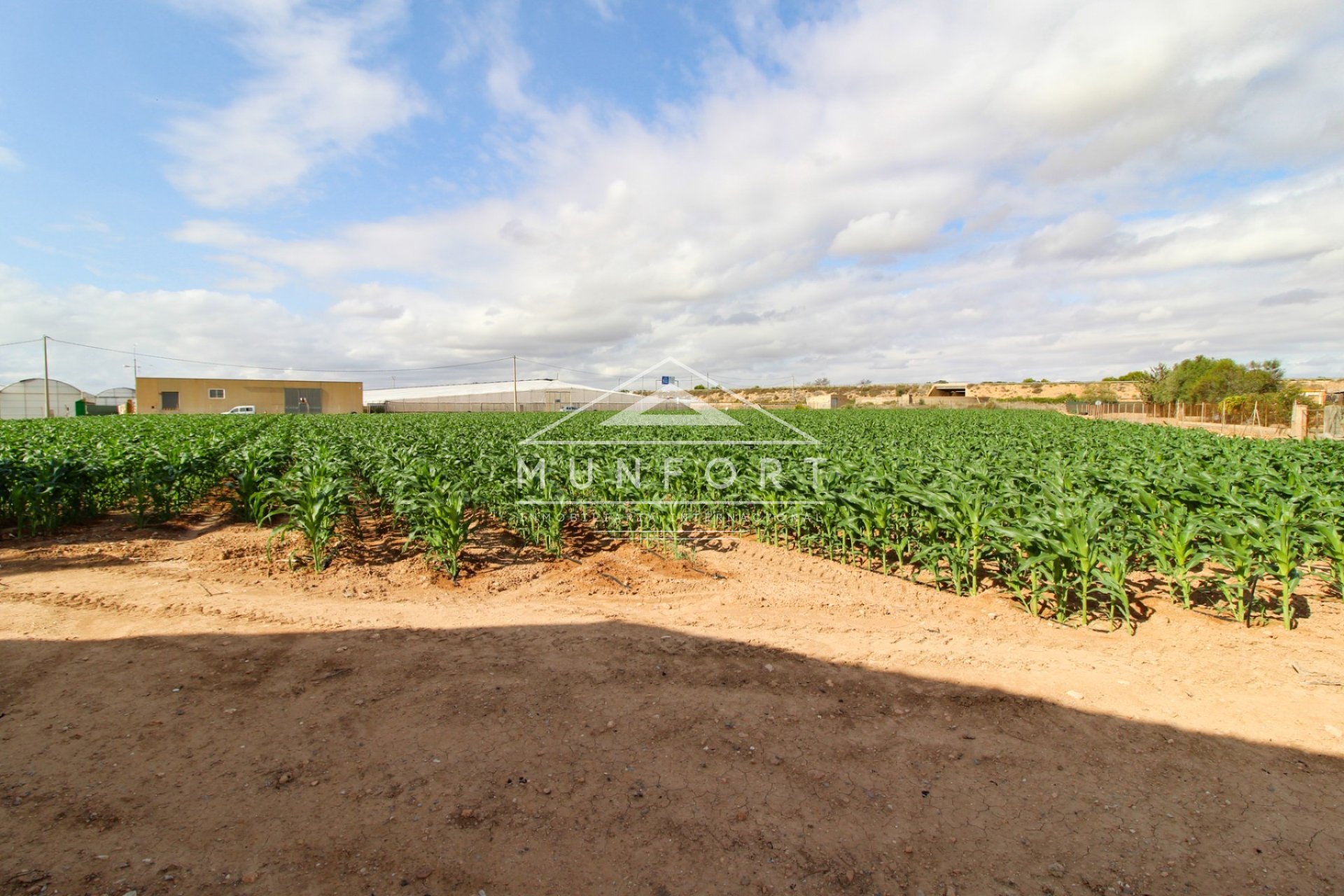 Revente - Maisons de campagne -
San Pedro del Pinatar