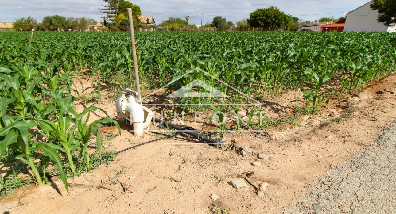 Revente - Maisons de campagne -
San Pedro del Pinatar