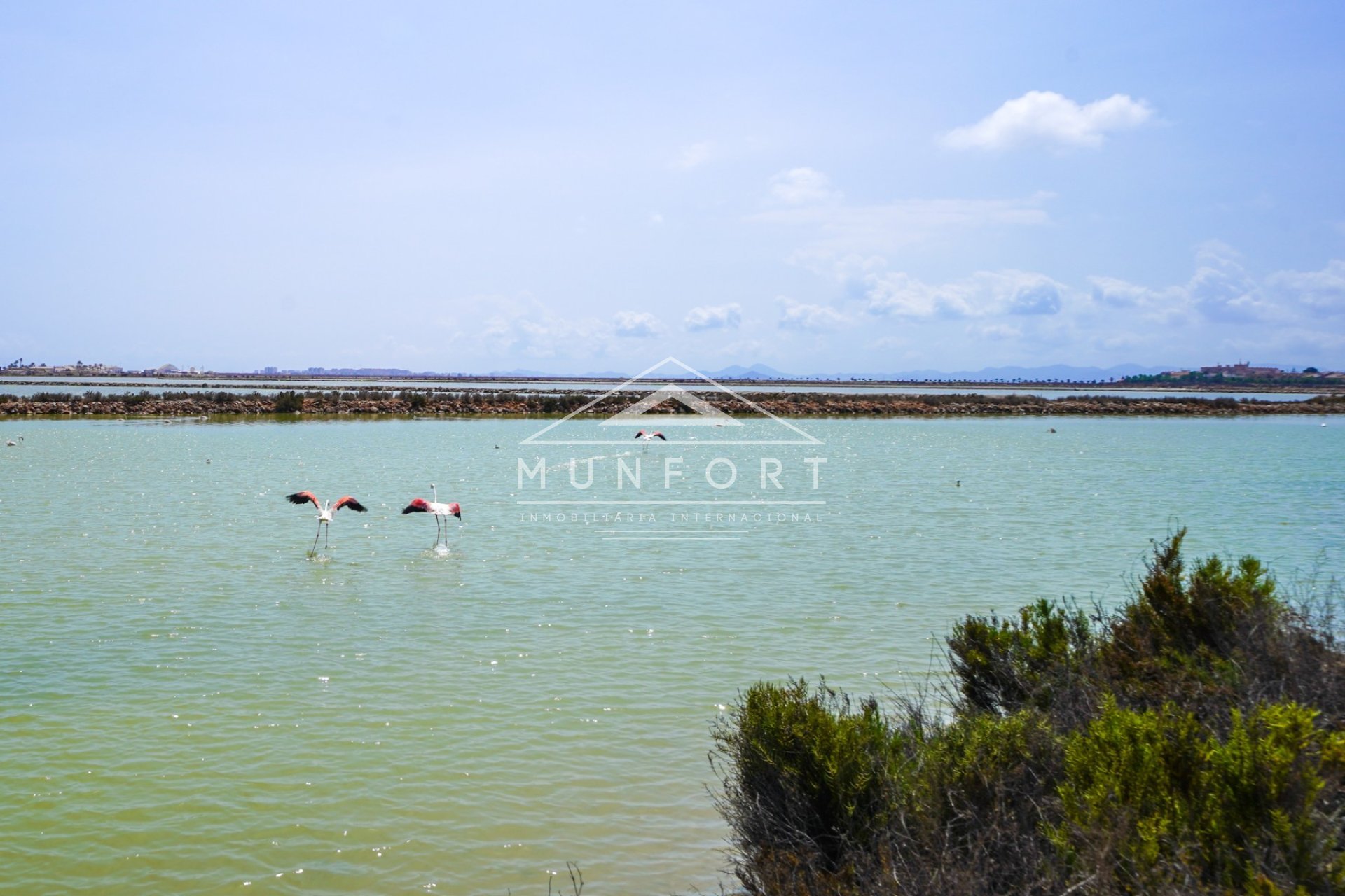 Revente - Maisons mitoyennes -
San Pedro del Pinatar