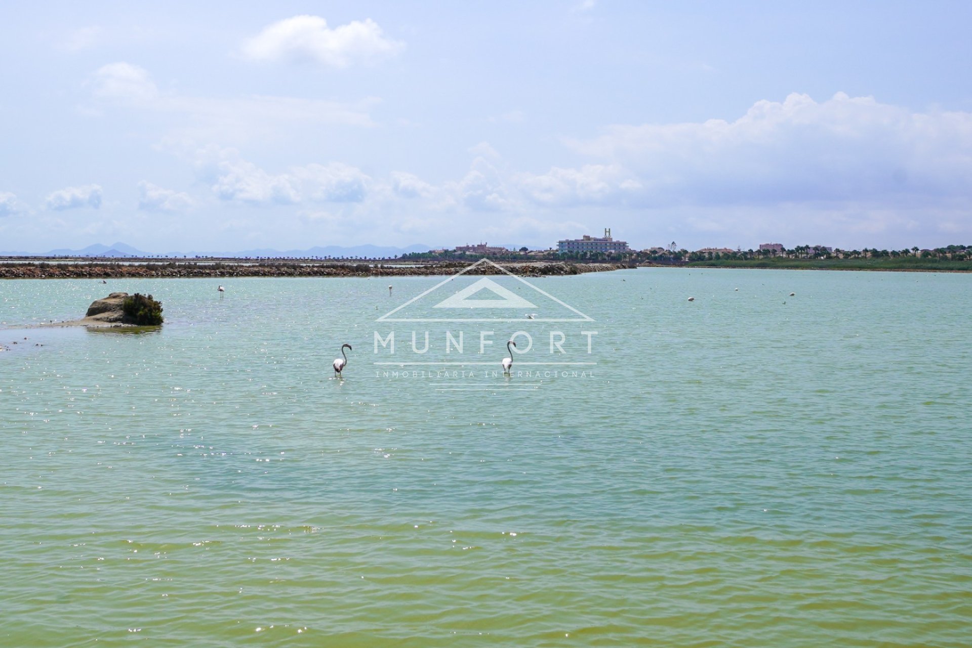 Revente - Maisons mitoyennes -
San Pedro del Pinatar