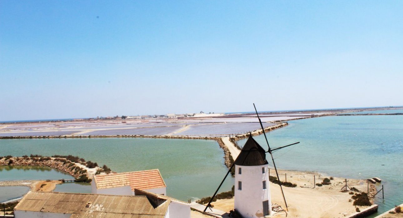 Revente - Maisons mitoyennes -
San Pedro del Pinatar