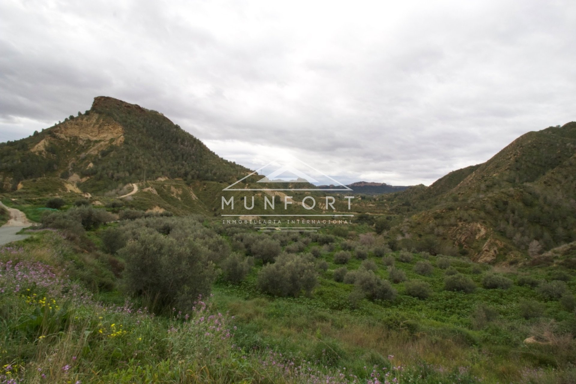 Revente - Parcelles -
Murcia - GEA Y TRUYOLS