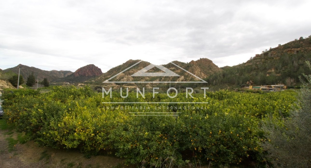 Revente - Parcelles -
Murcia - GEA Y TRUYOLS