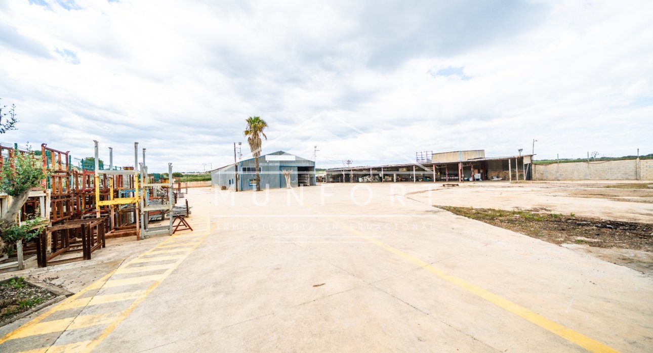 Revente - Parcelles -
Pilar de la Horadada - Pinar de Campoverde