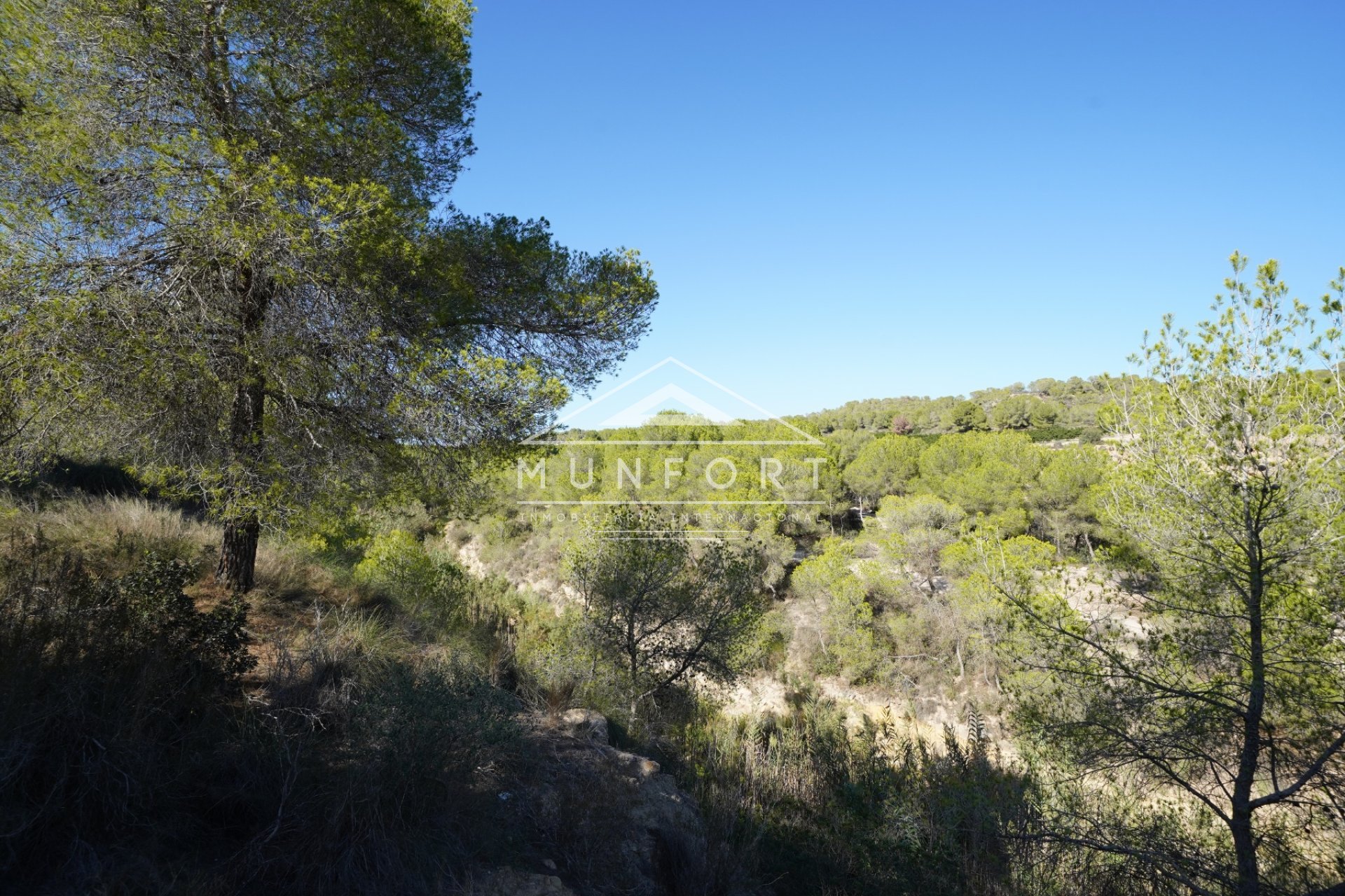 Revente - Parcelles -
Pilar de la Horadada - Pinar de Campoverde