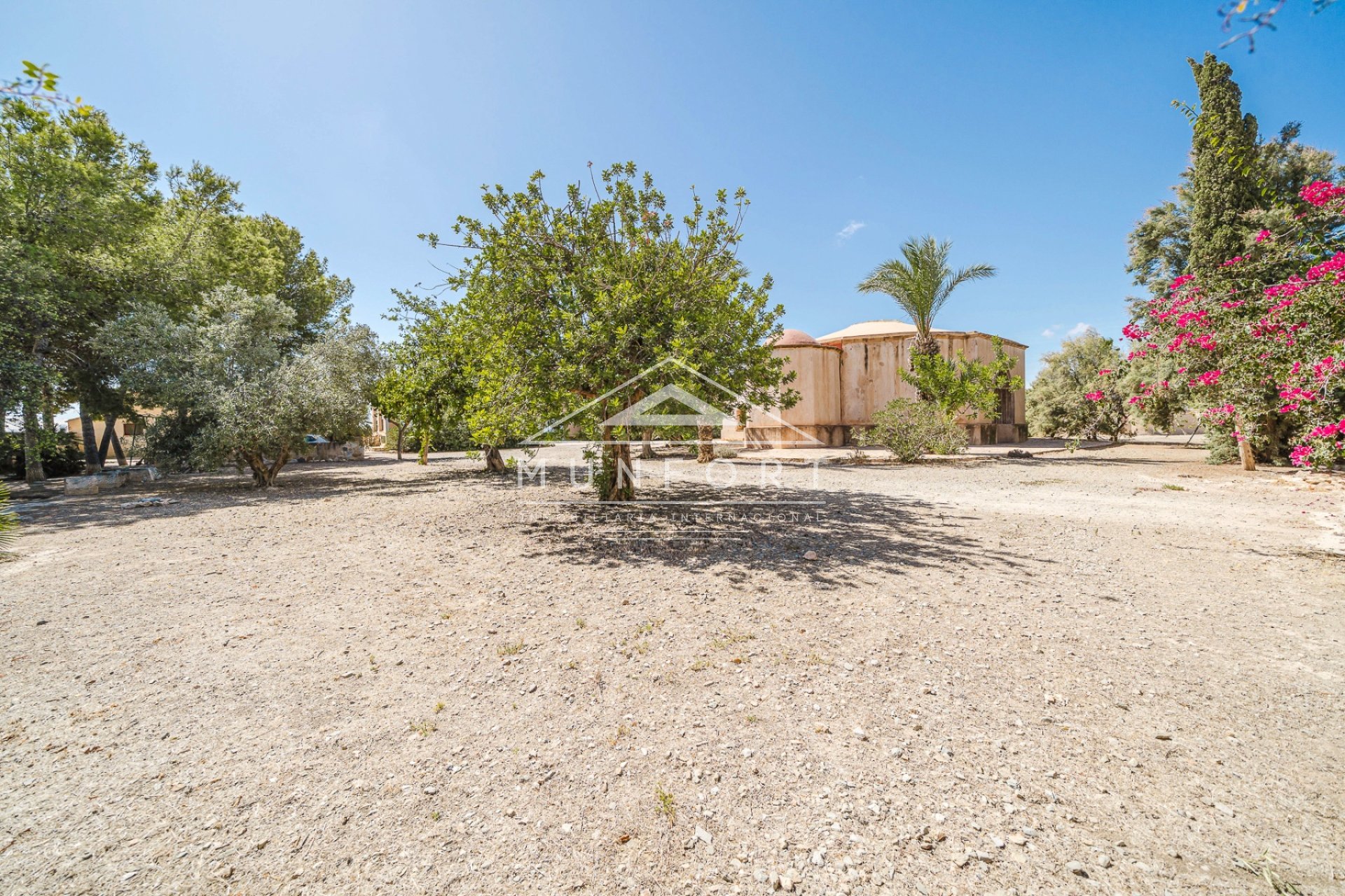 Revente - Villas -
Balsicas