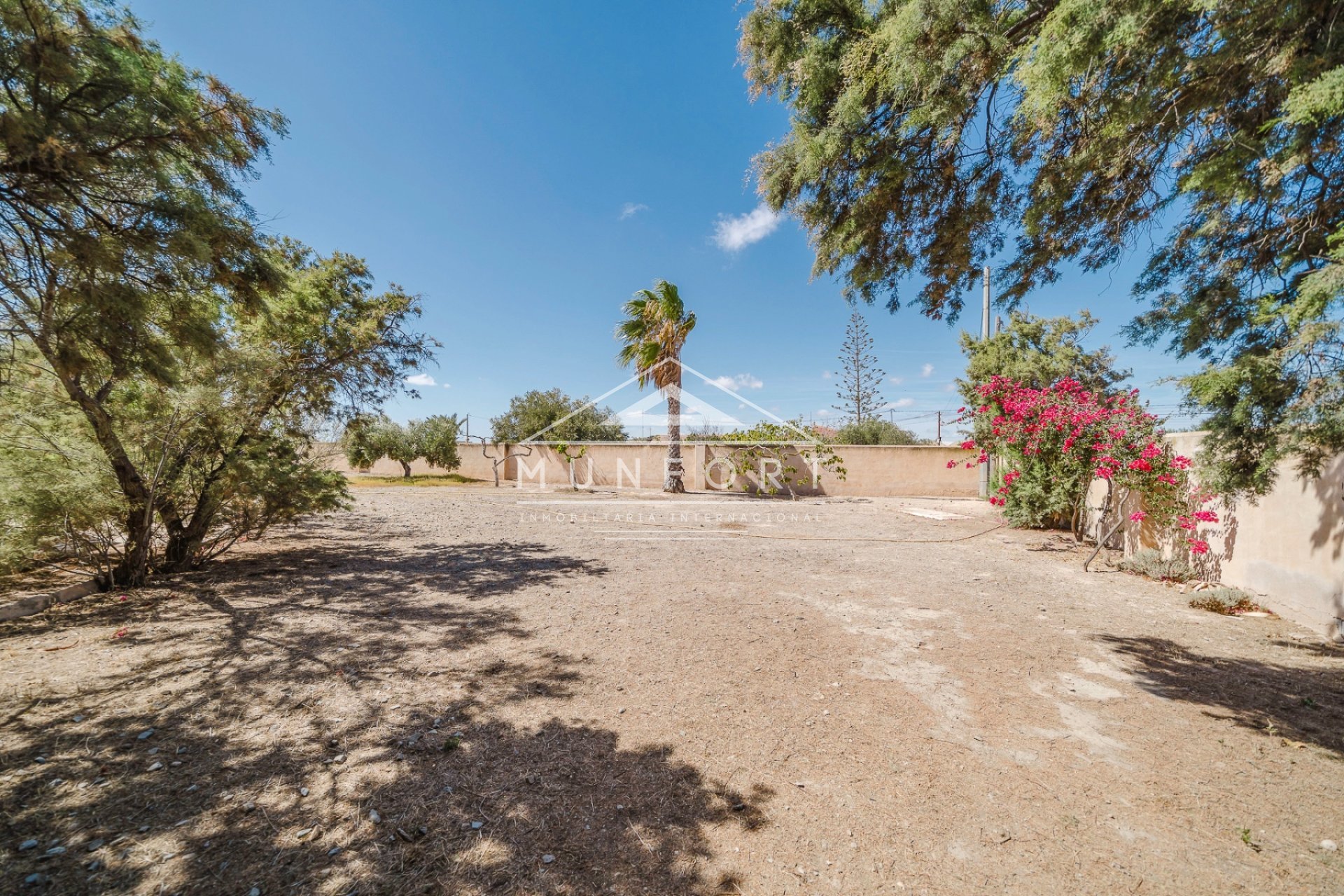 Revente - Villas -
Balsicas