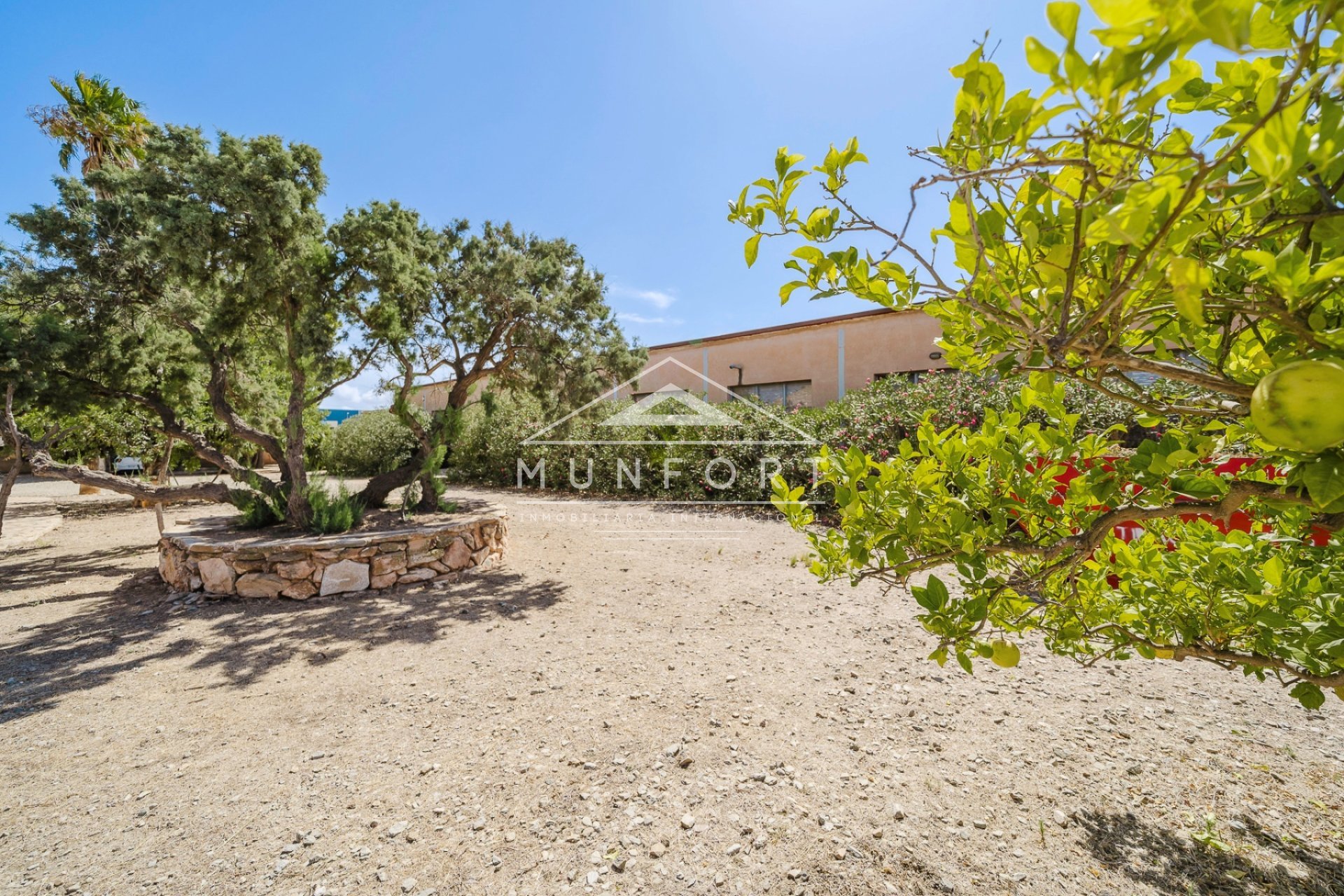 Revente - Villas -
Balsicas