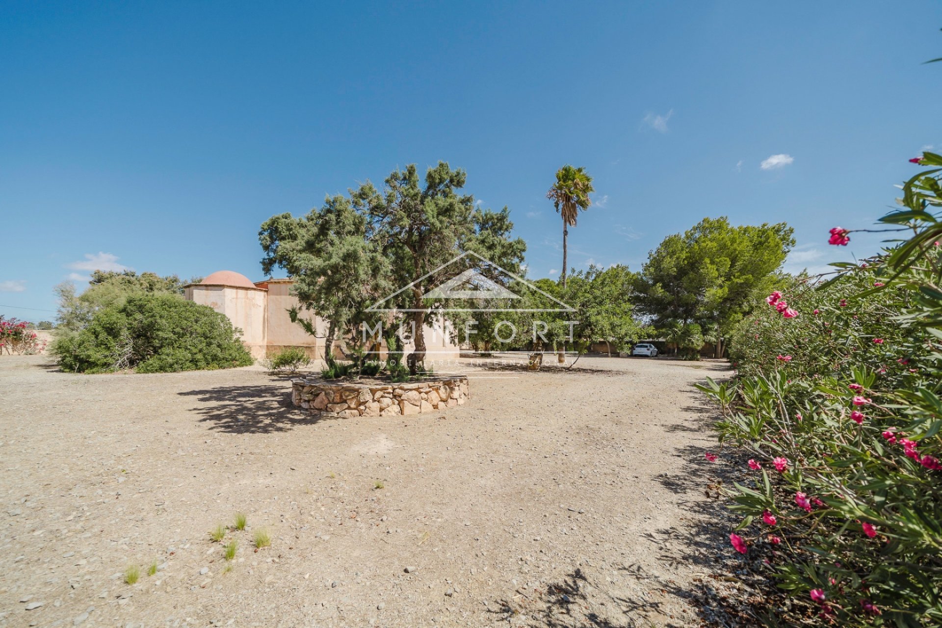 Revente - Villas -
Balsicas