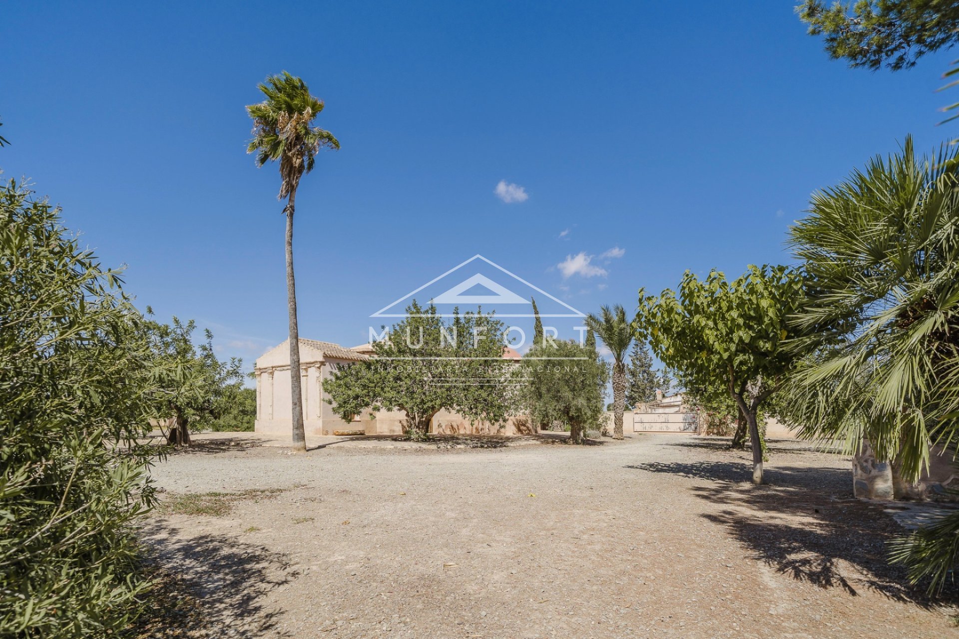 Revente - Villas -
Balsicas