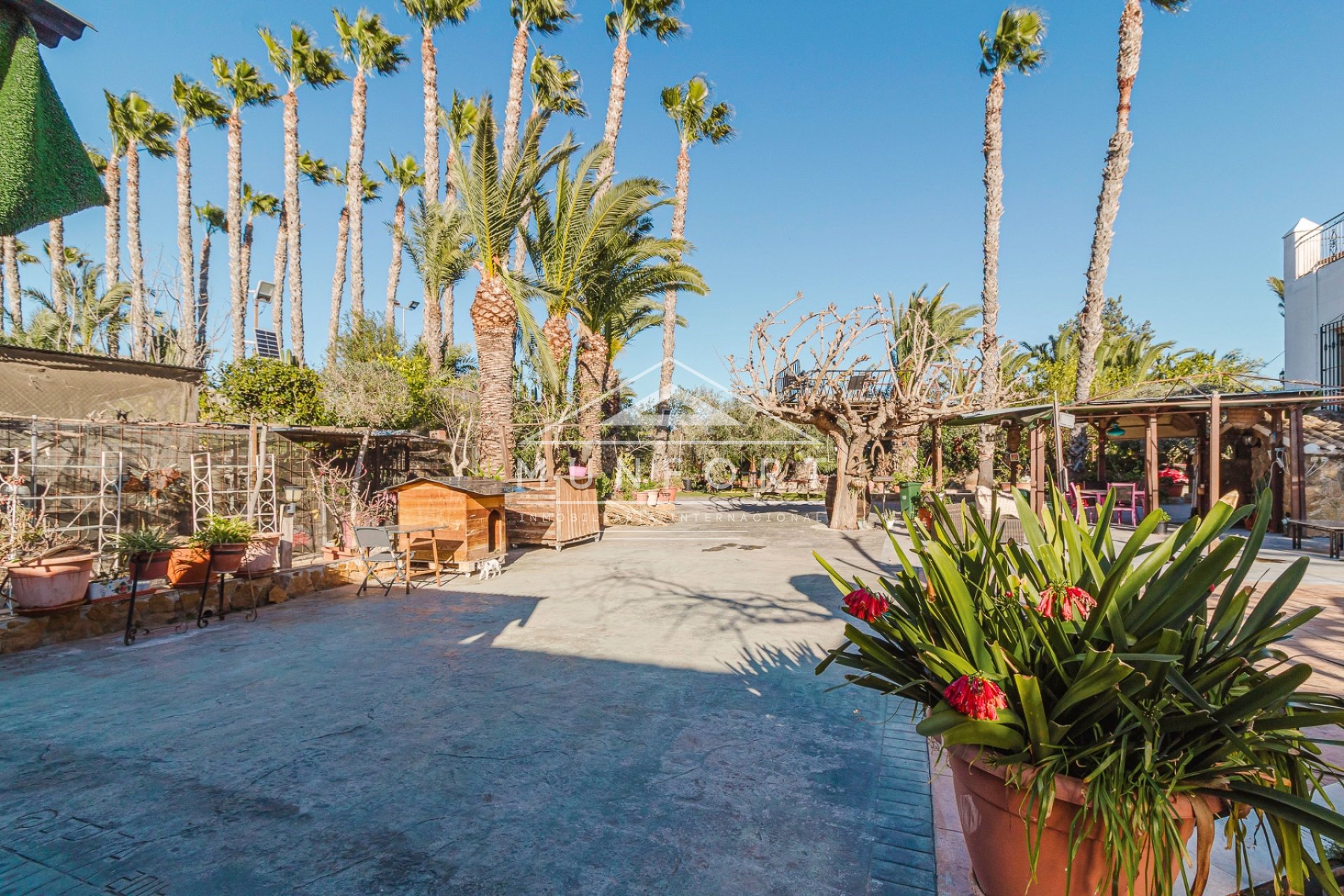 Revente - Villas -
Orihuela