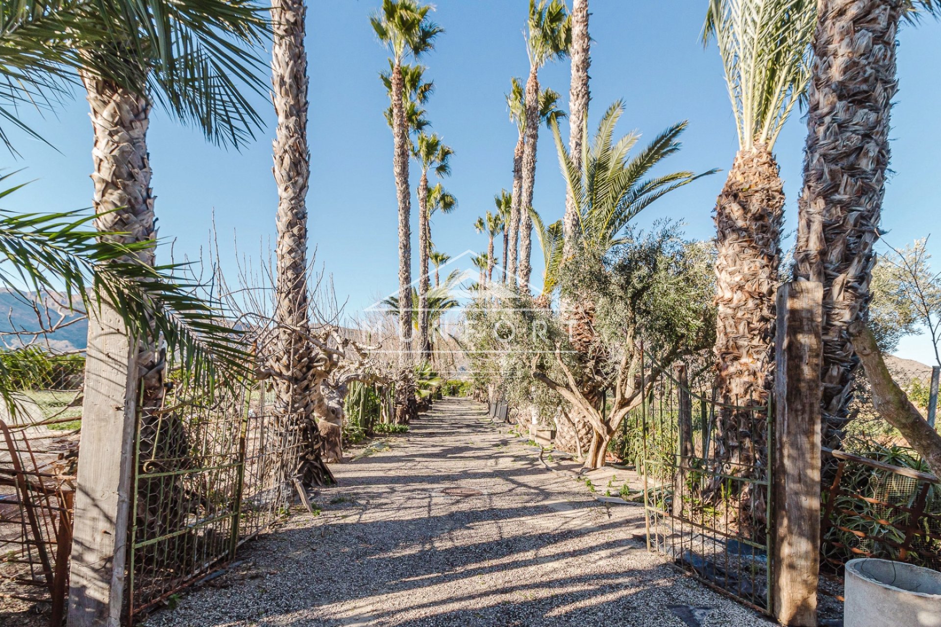 Revente - Villas -
Orihuela