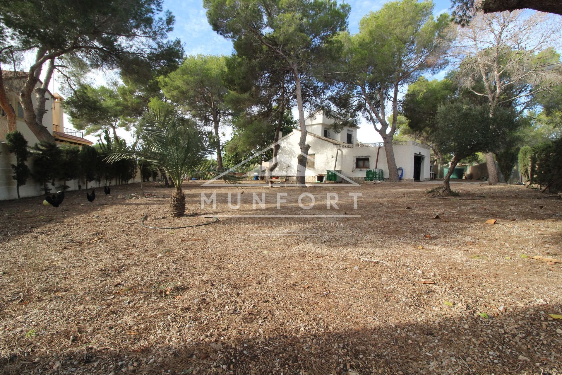 Revente - Villas -
Pilar de la Horadada - Pinar de Campoverde