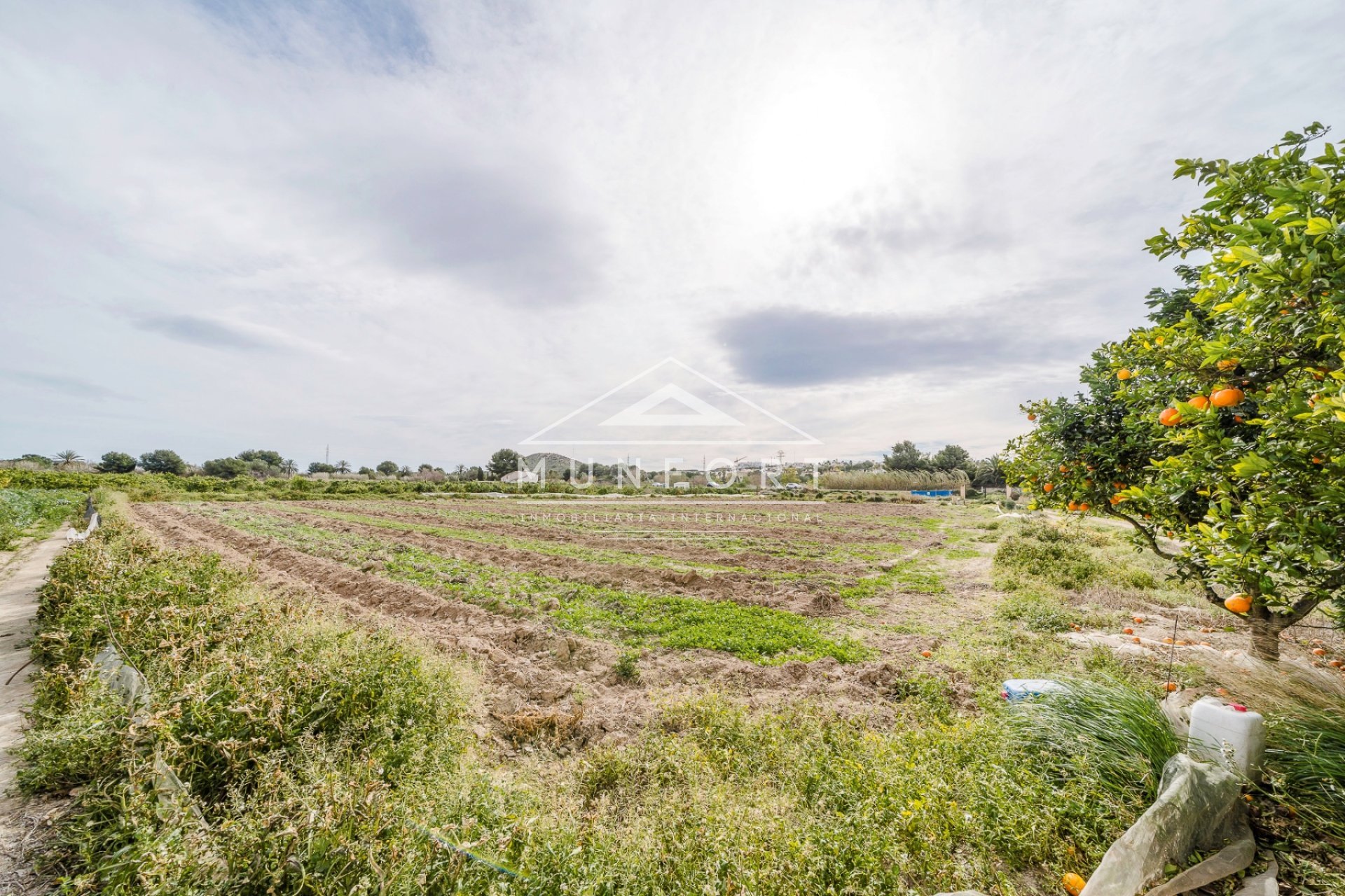 Revente - Villas -
Rojales