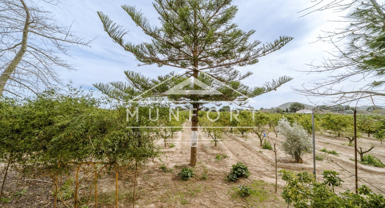 Revente - Villas -
Rojales