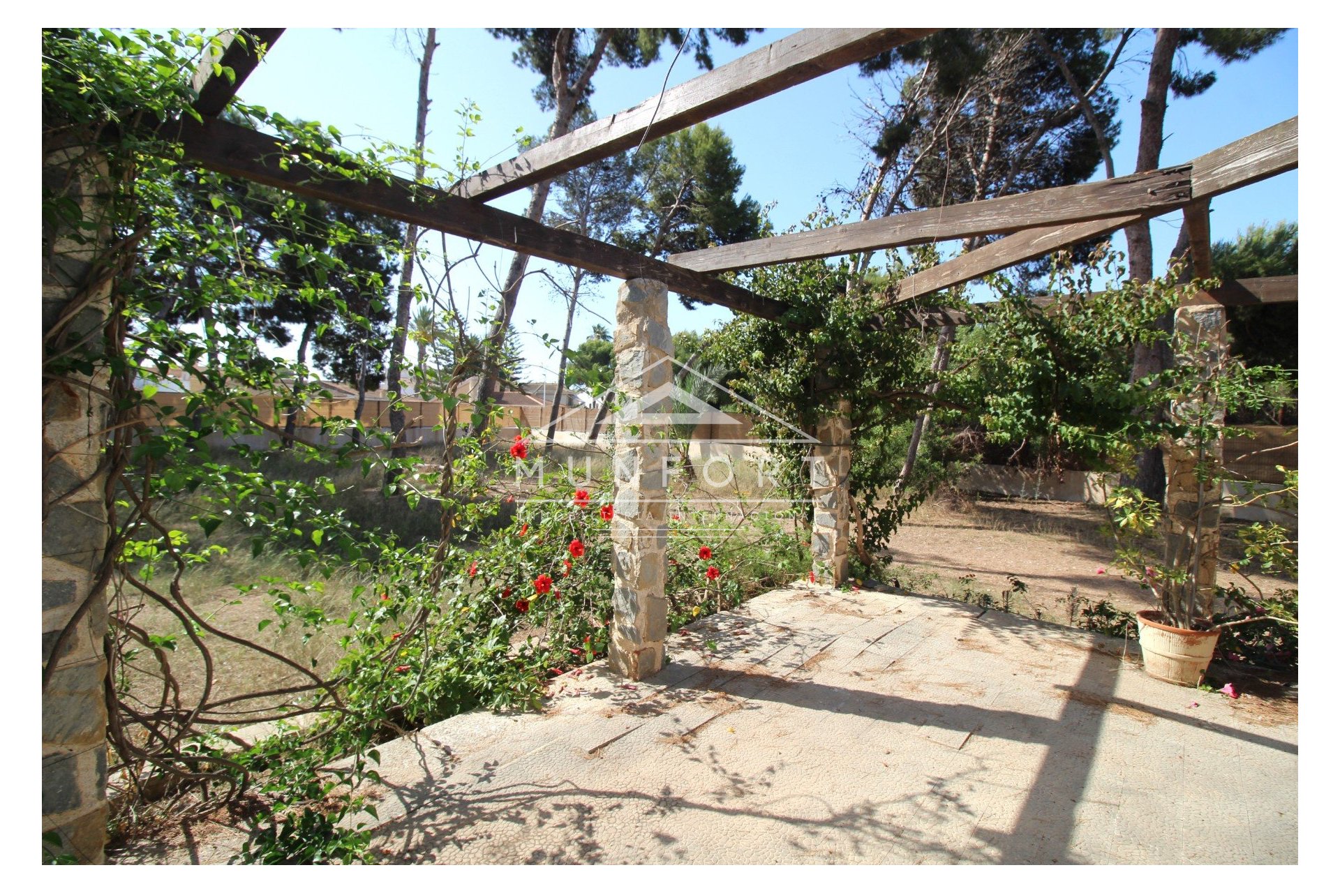 Revente - Villas -
San Pedro del Pinatar