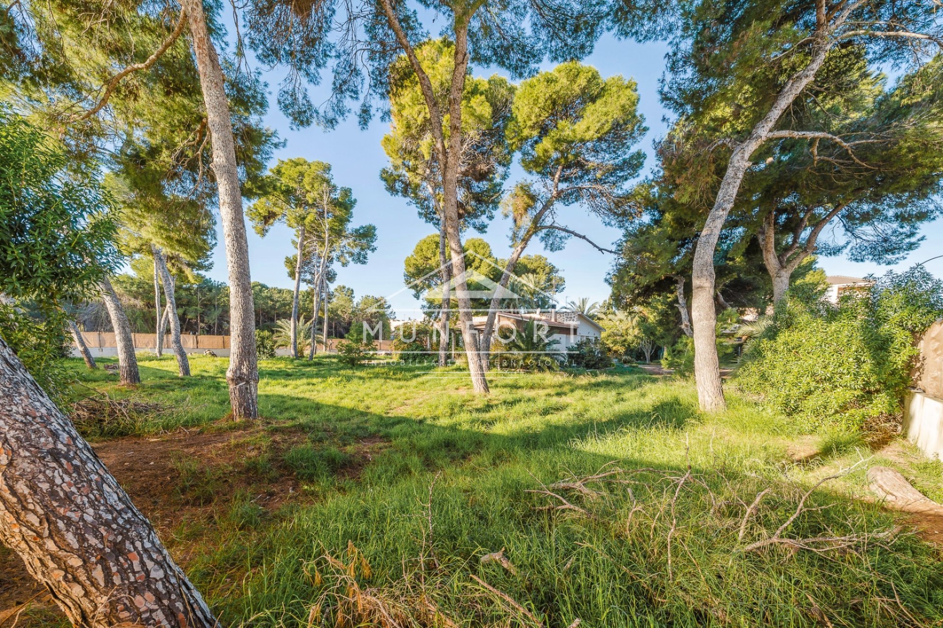 Revente - Villas -
San Pedro del Pinatar