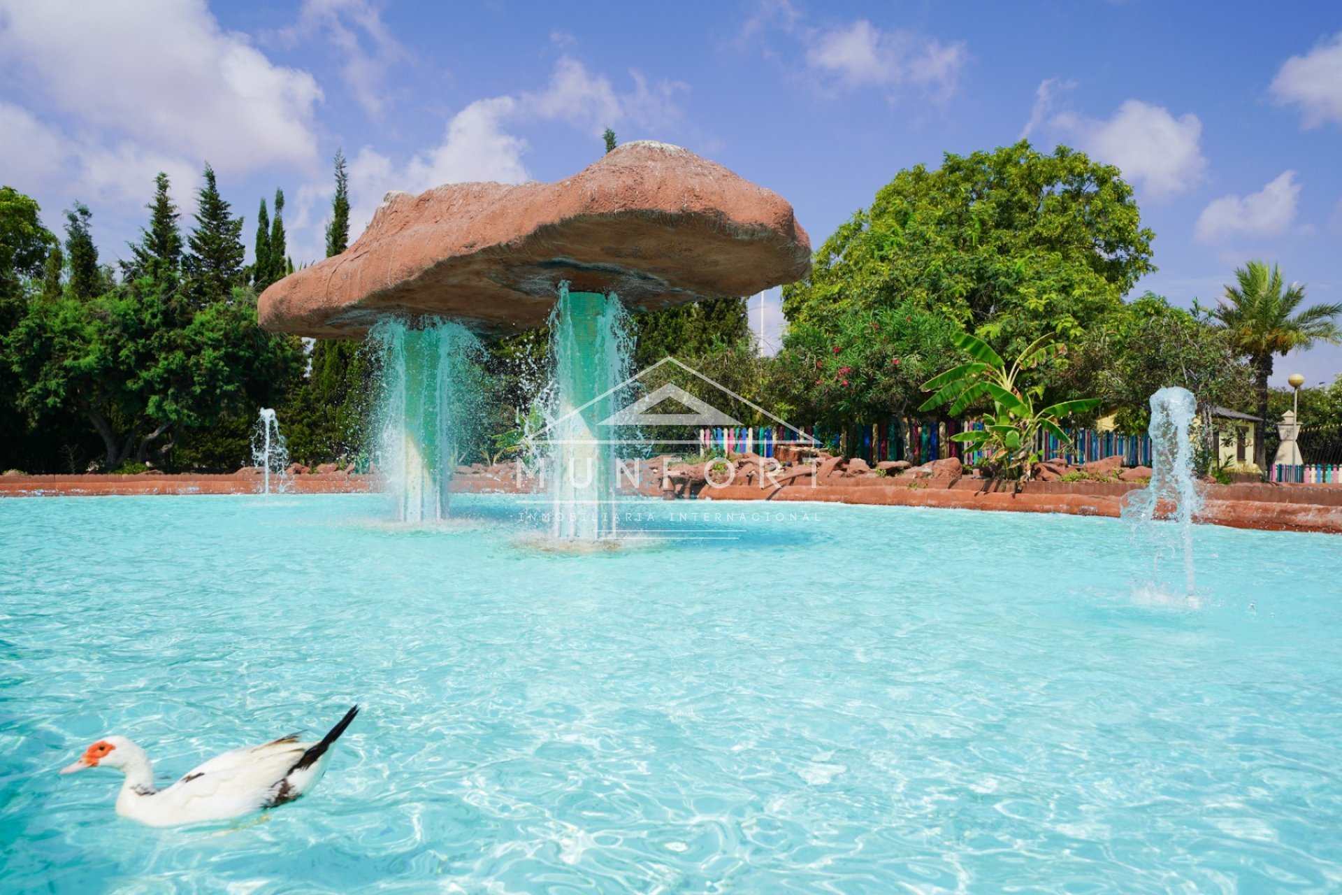 Revente - Villas -
Torrevieja