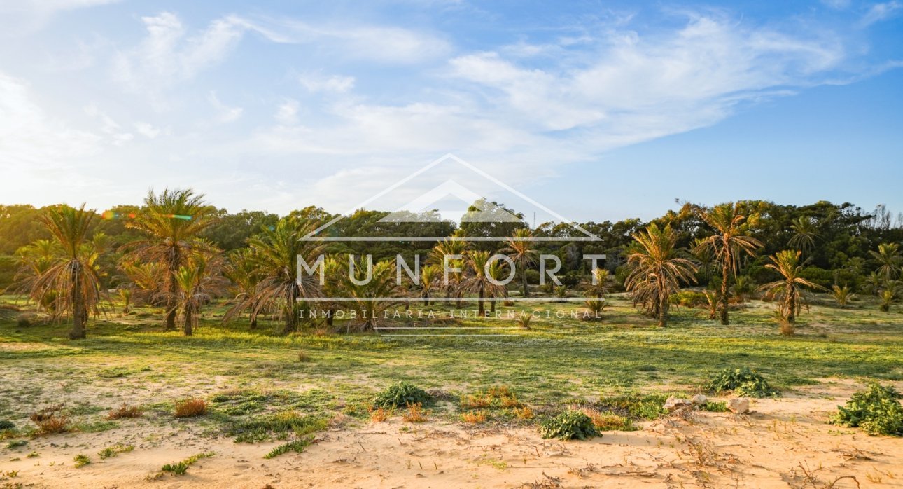 Segunda mano - Apartamentos -
Guardamar del Segura - El Raso - Guardamar del Segura