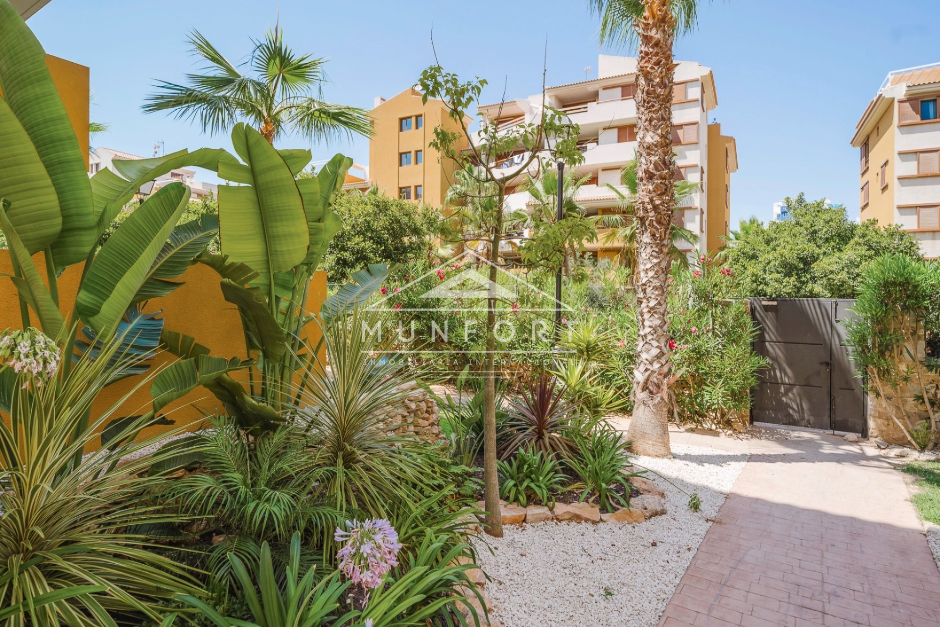 Segunda mano - Apartamentos -
Orihuela Costa - Punta Prima