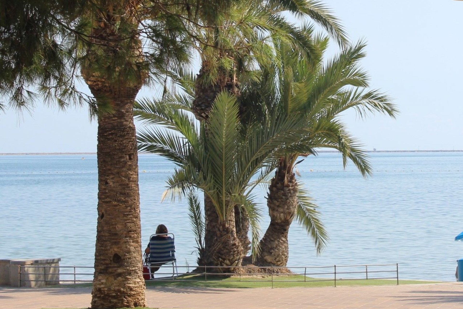 Segunda mano - Apartamentos -
San Javier
