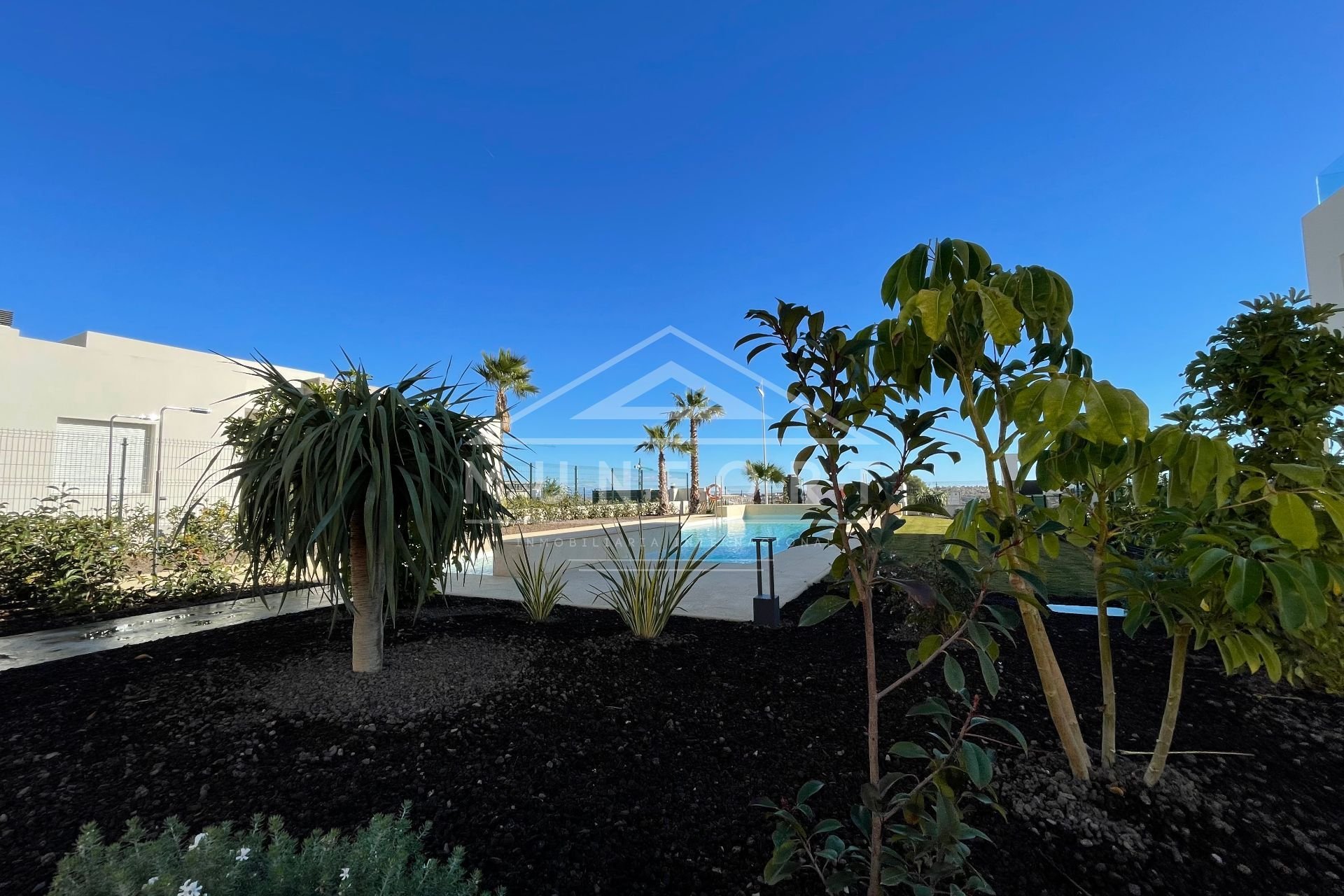 Segunda mano - Bungalows -
Algorfa - Club de Golf La Finca - Algorfa