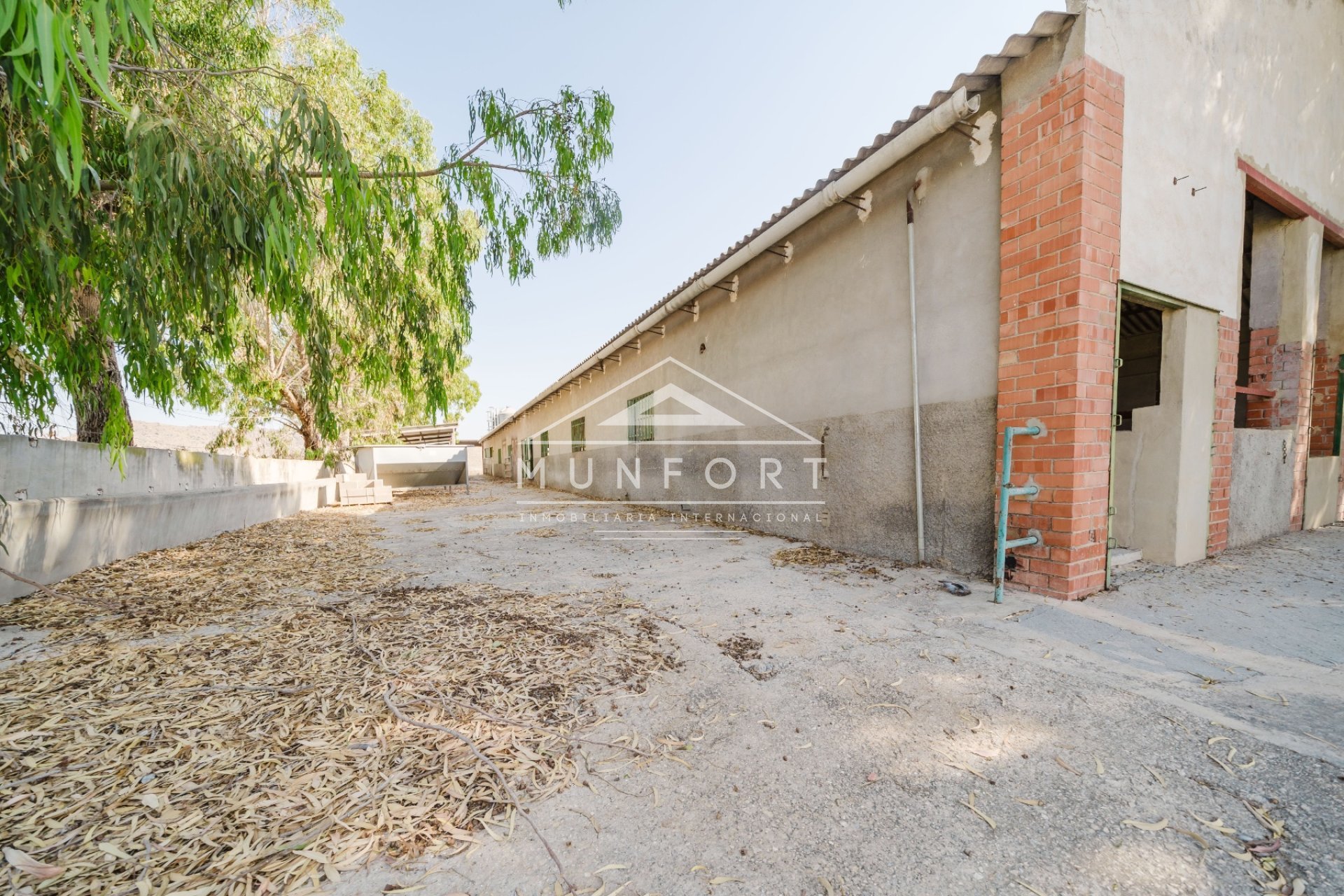 Segunda mano - Casas de campo -
ALICANTE - Alicante