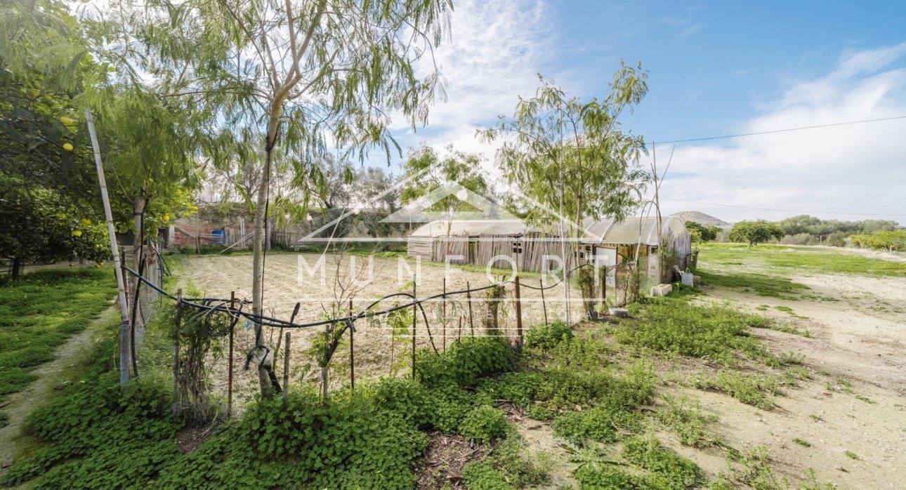 Segunda mano - Casas de campo -
Guardamar del Segura
