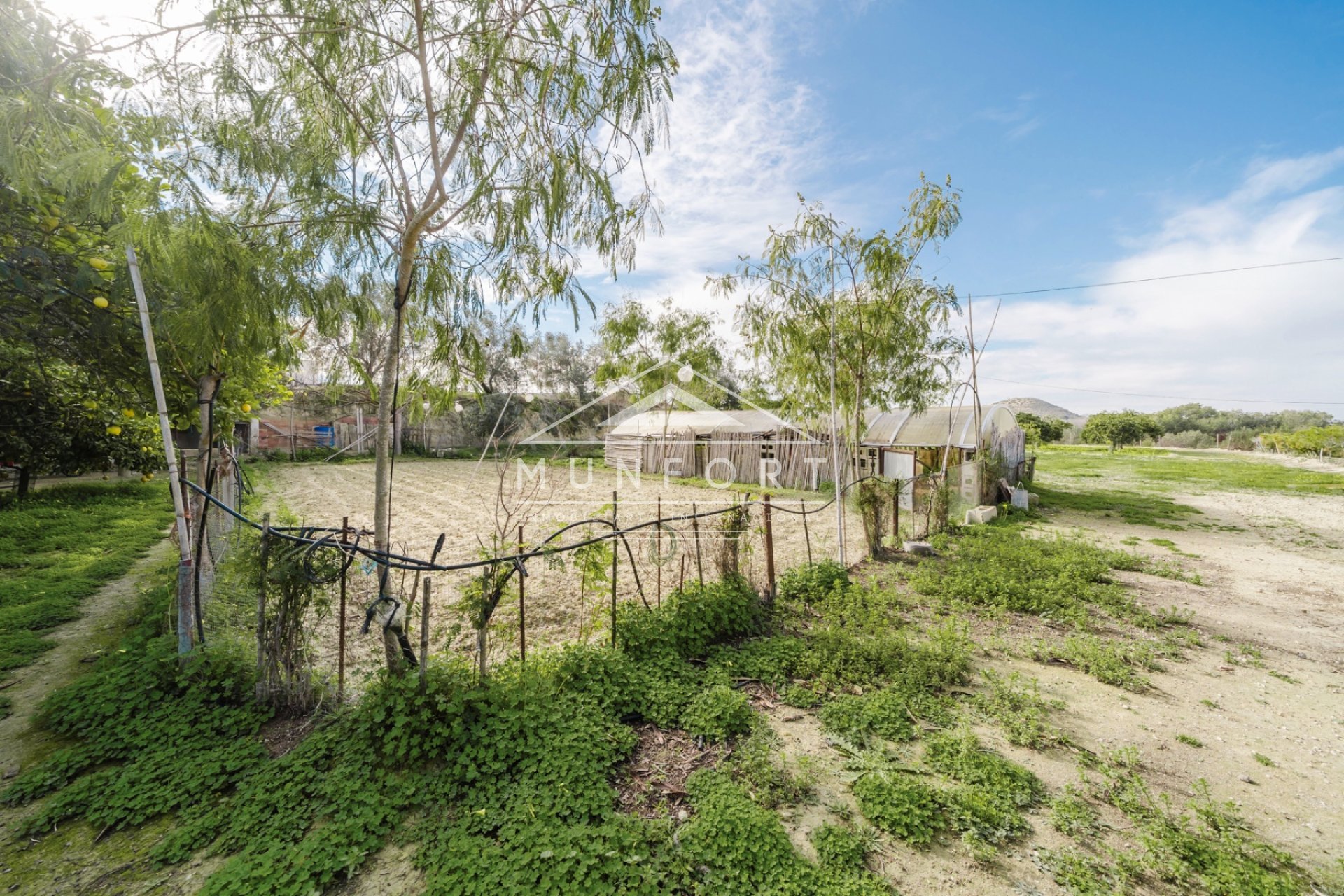 Segunda mano - Casas de campo -
Guardamar del Segura