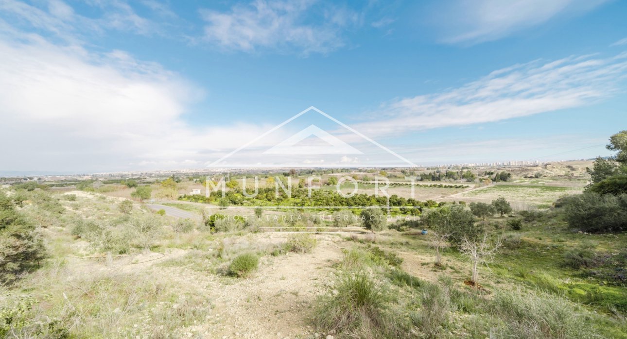 Segunda mano - Casas de campo -
Guardamar del Segura