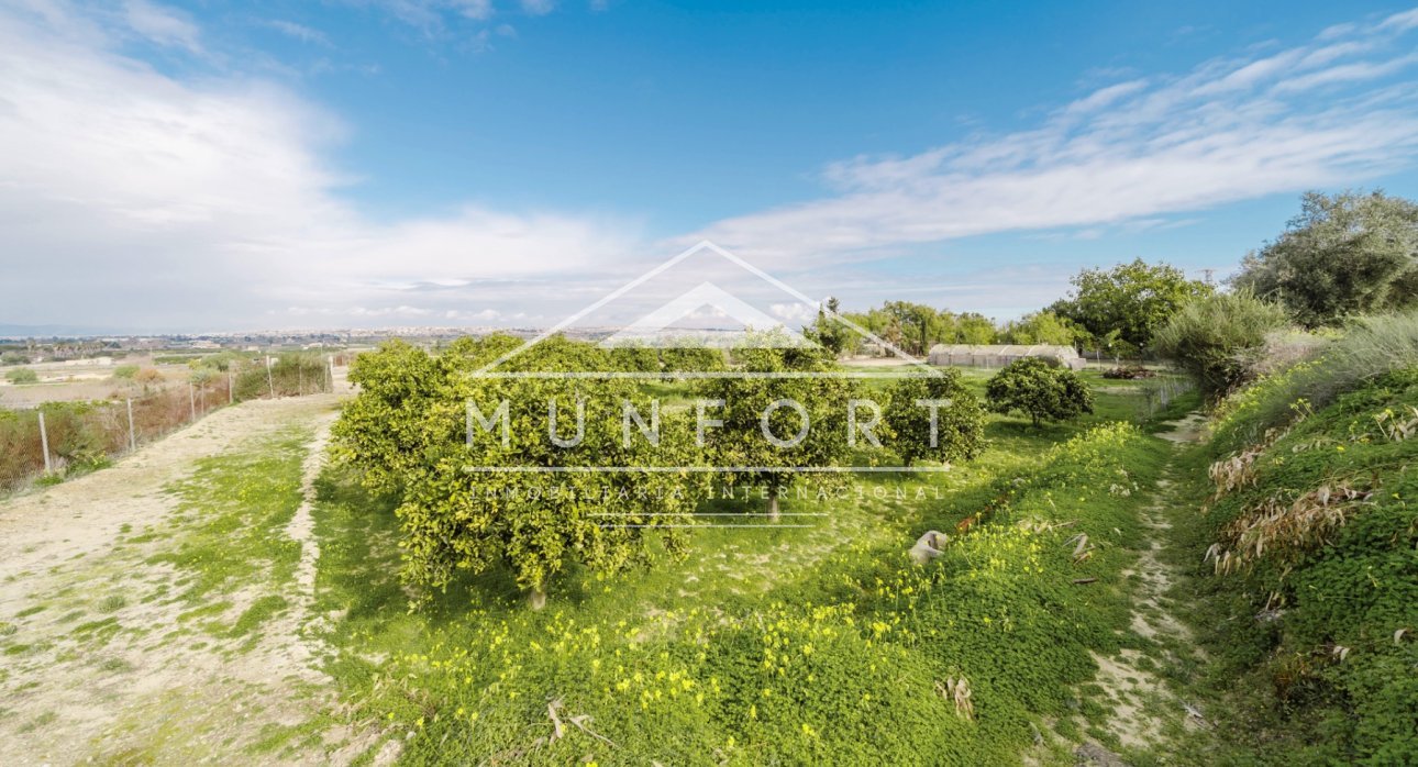 Segunda mano - Casas de campo -
Guardamar del Segura