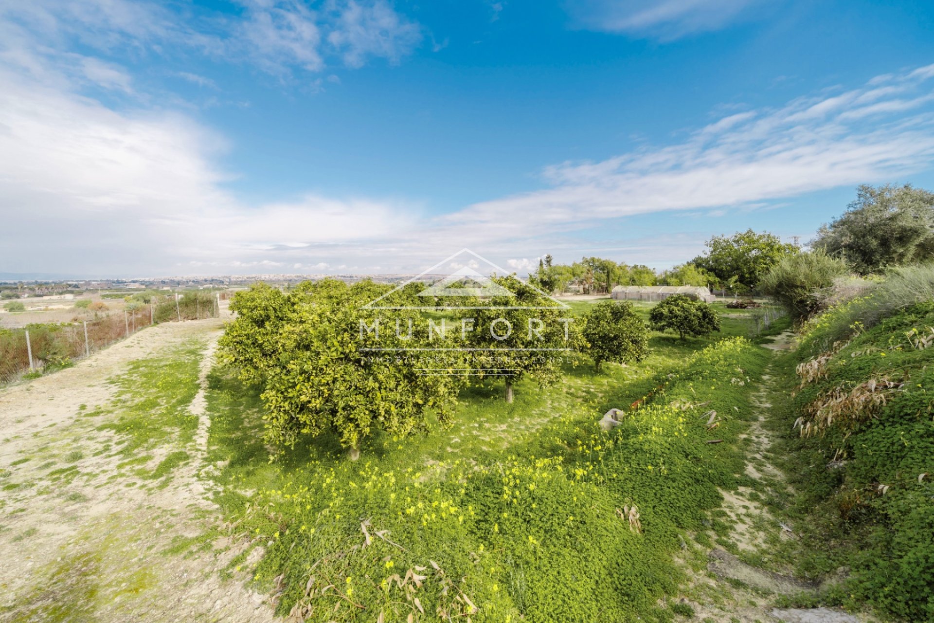 Segunda mano - Casas de campo -
Guardamar del Segura