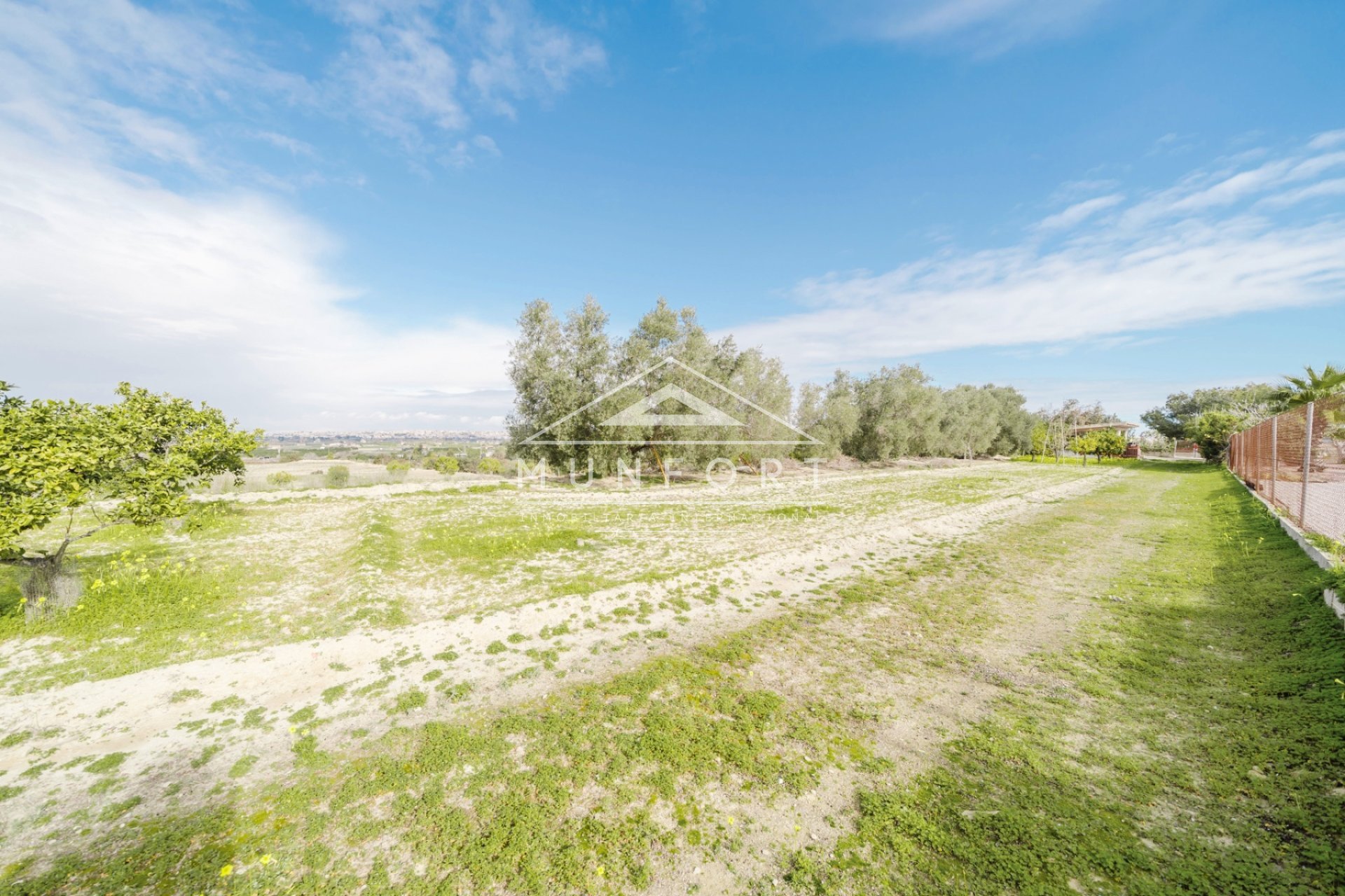 Segunda mano - Casas de campo -
Guardamar del Segura