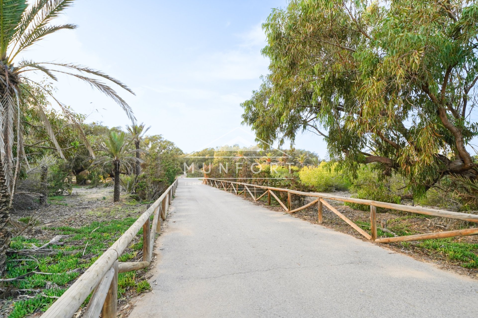 Segunda mano - Casas de campo -
Guardamar del Segura
