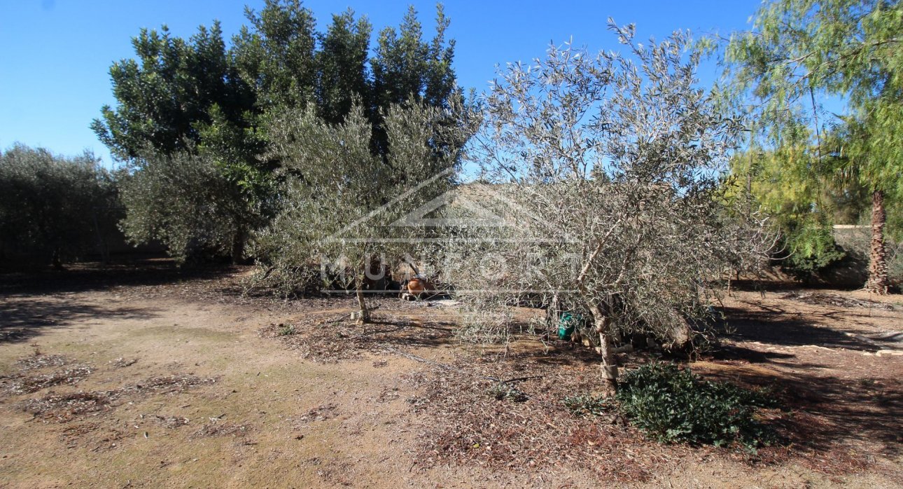 Segunda mano - Casas de campo -
Murcia