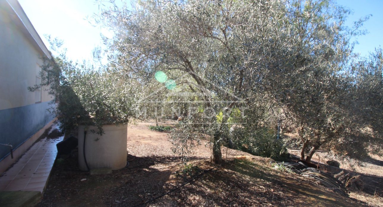 Segunda mano - Casas de campo -
Murcia