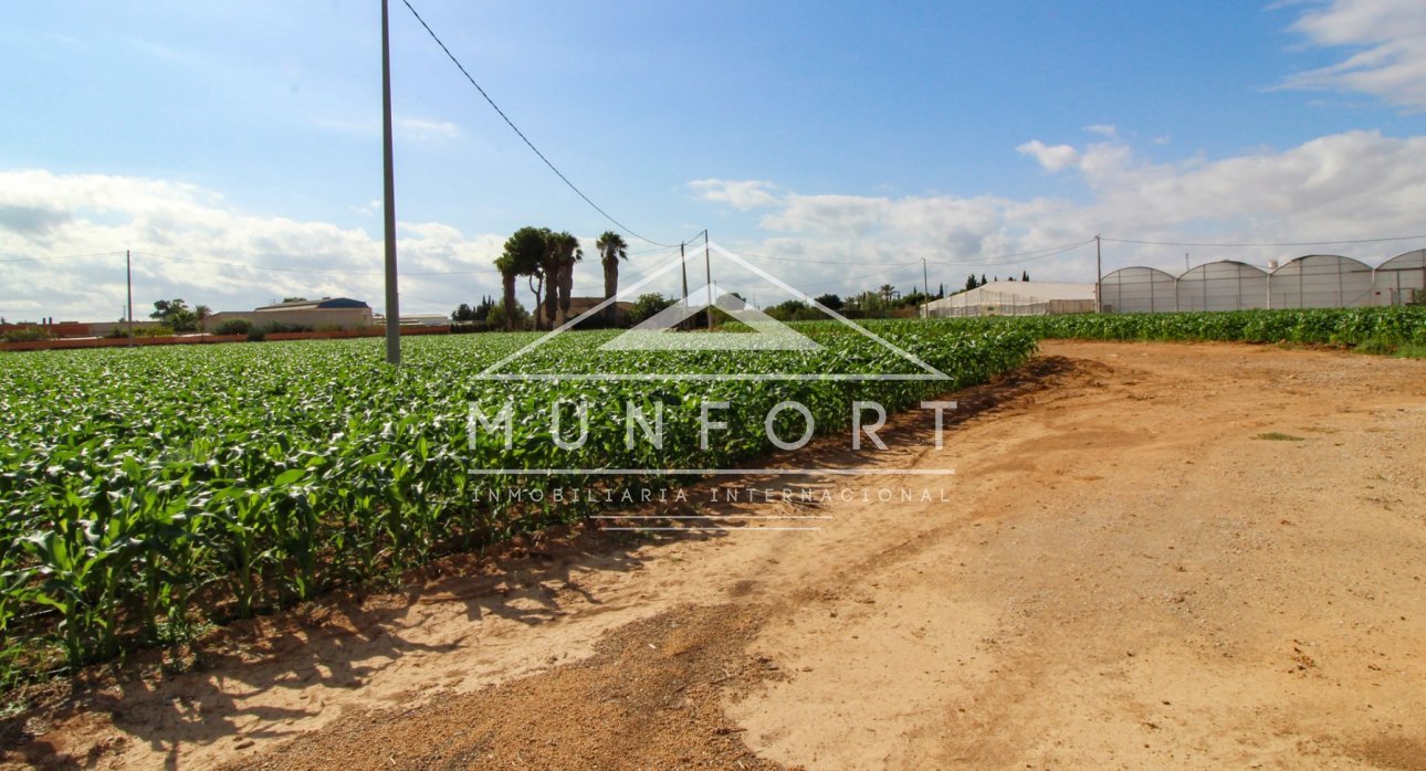 Segunda mano - Casas de campo -
San Pedro del Pinatar