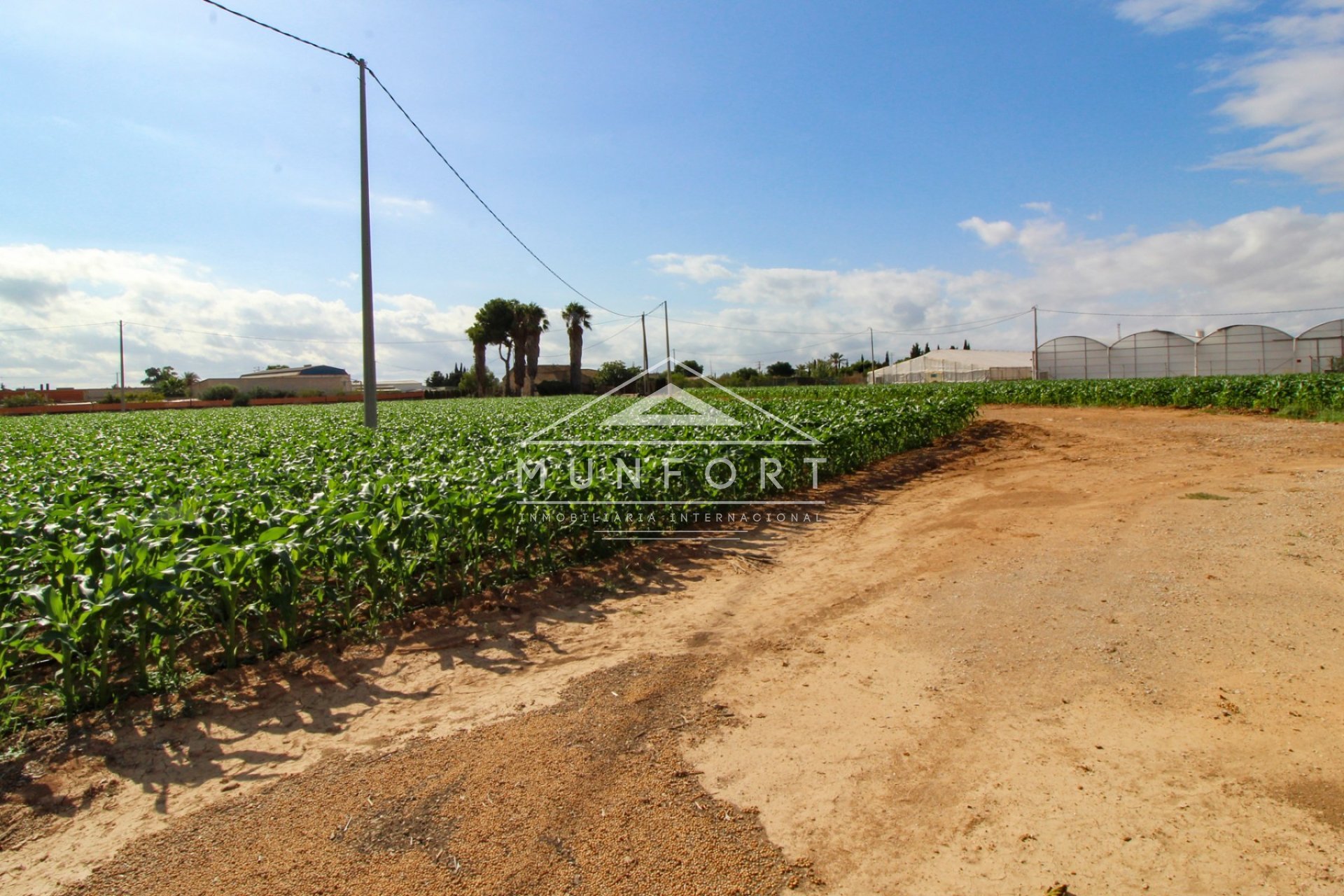 Segunda mano - Casas de campo -
San Pedro del Pinatar