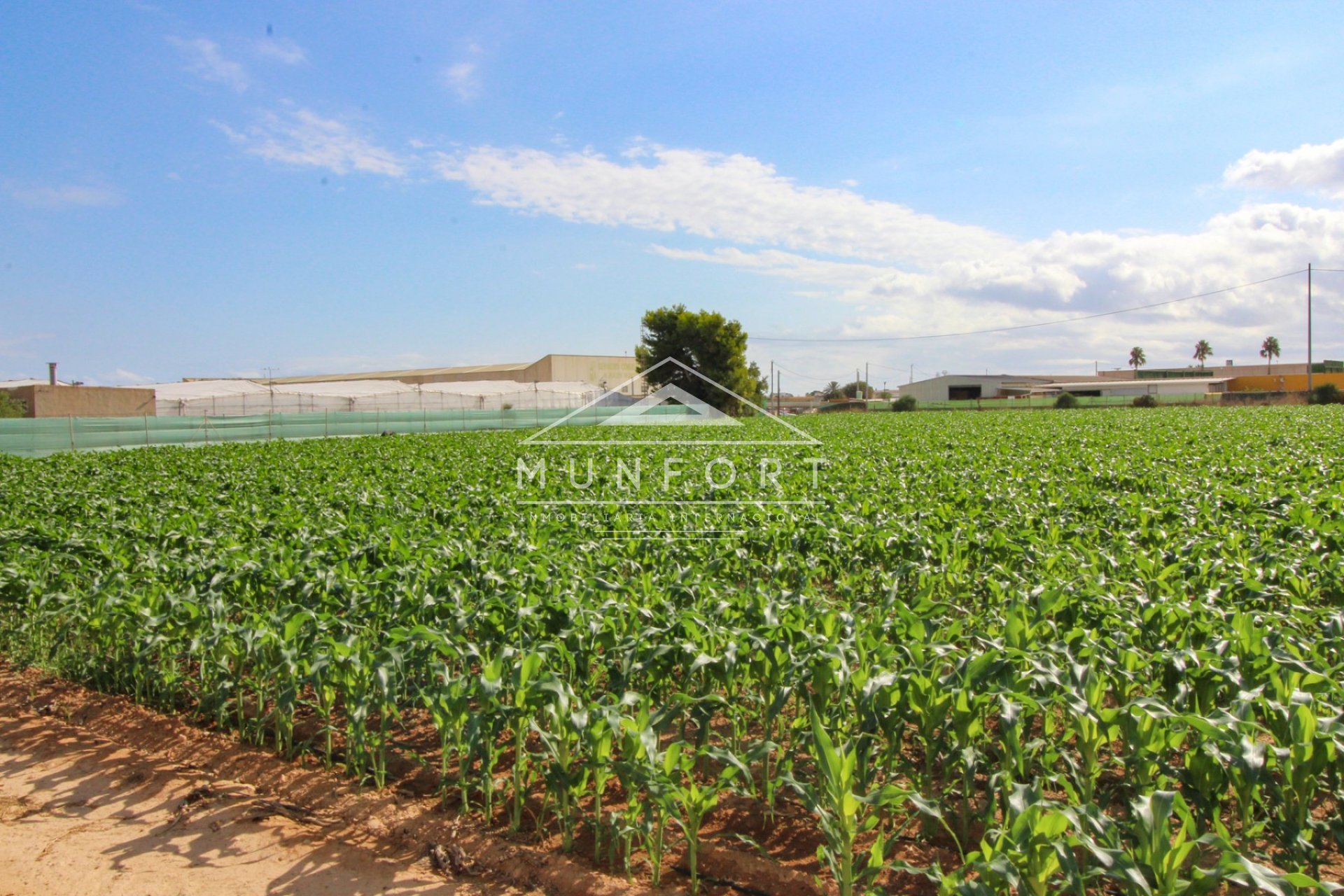 Segunda mano - Casas de campo -
San Pedro del Pinatar