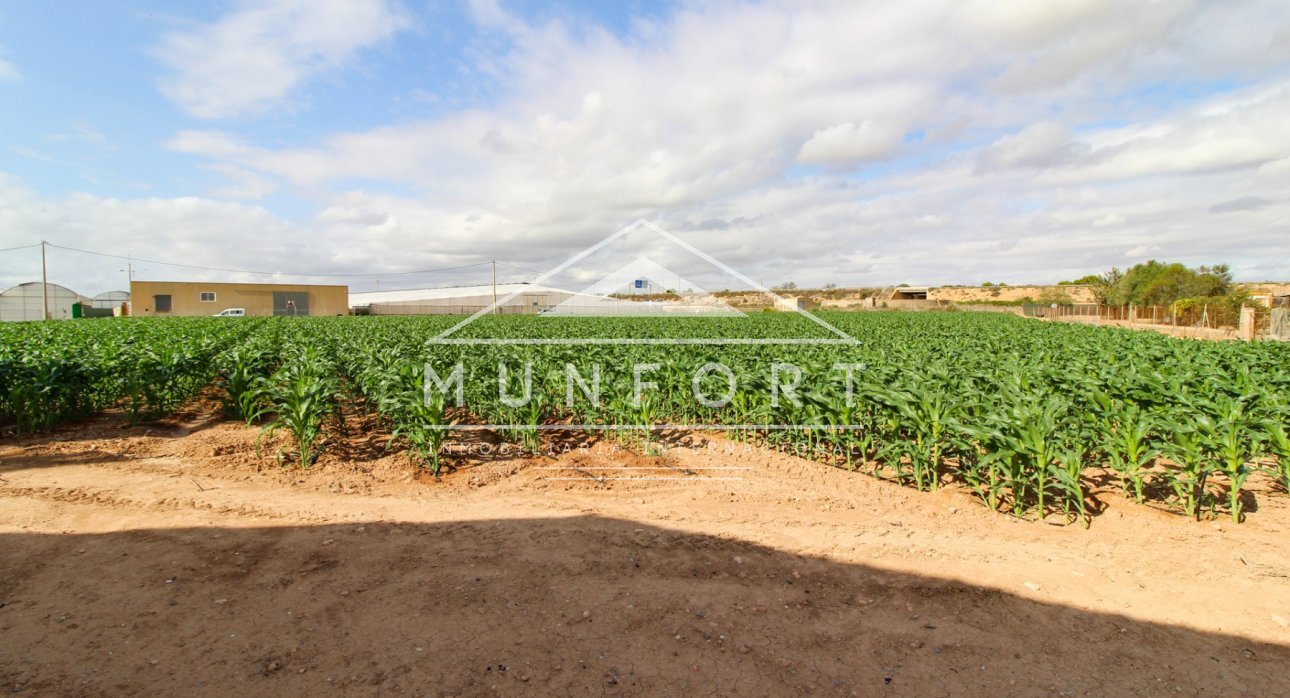Segunda mano - Casas de campo -
San Pedro del Pinatar
